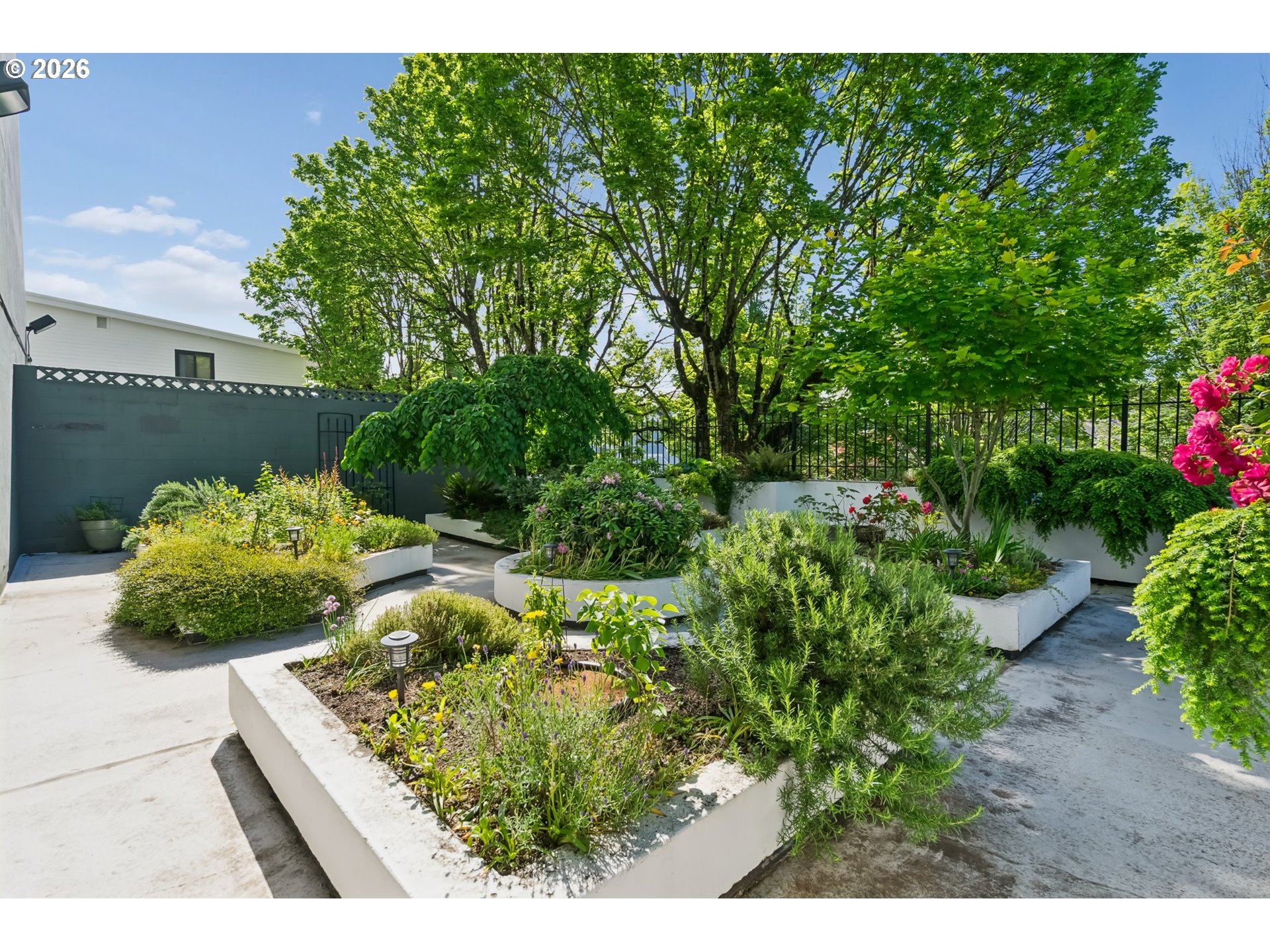 Photo #5: 384129004 Listing: Photo #5