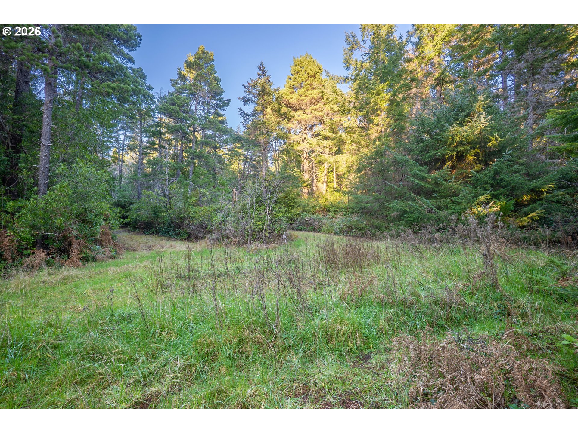 Search Homes for Sale