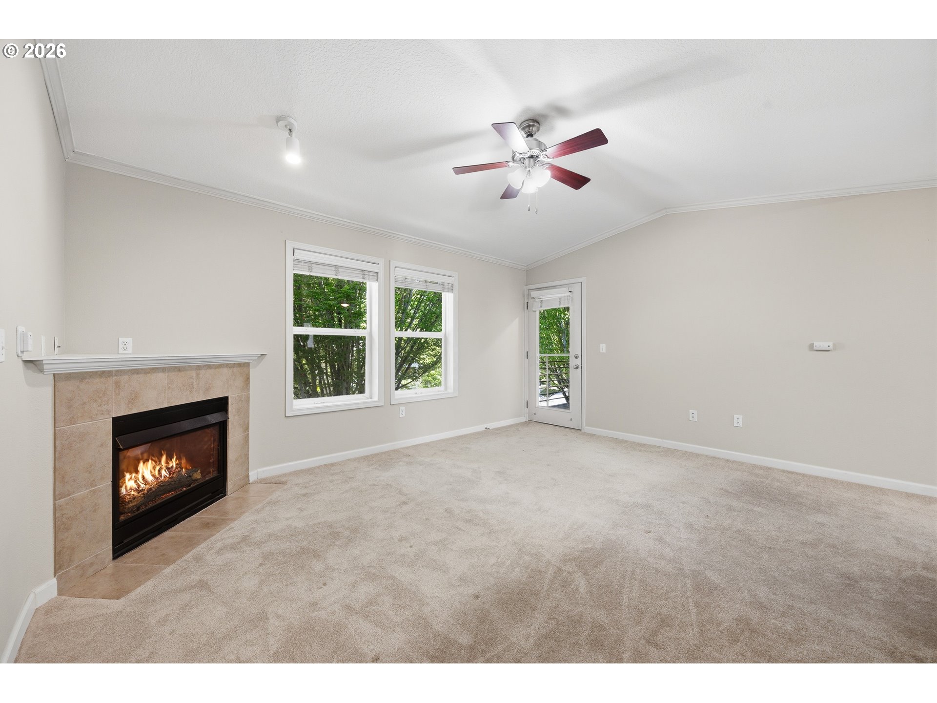 Photo #3: 384264122 Listing: Photo #3