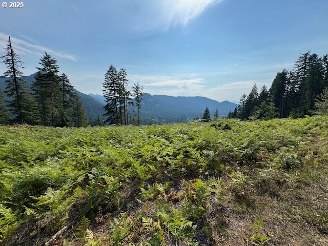 Search Homes for Sale