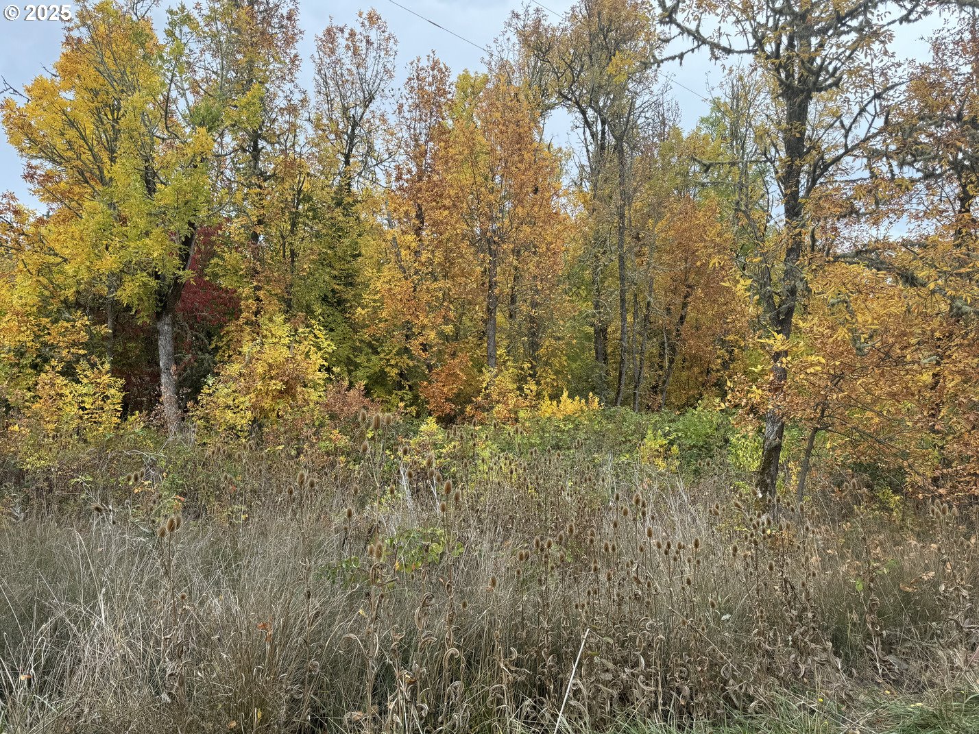 63539 Andrews RD, Coos Bay, OR, 97420