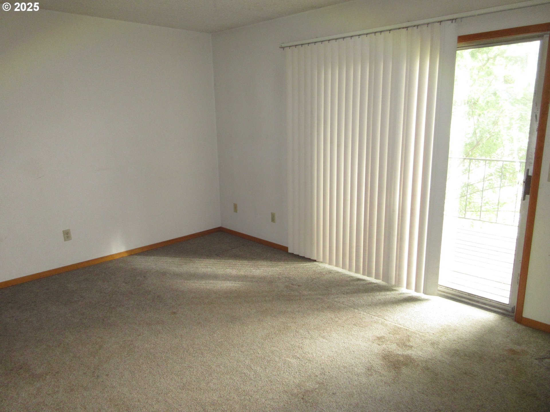 Photo #8: 388514921 Listing: Photo #8