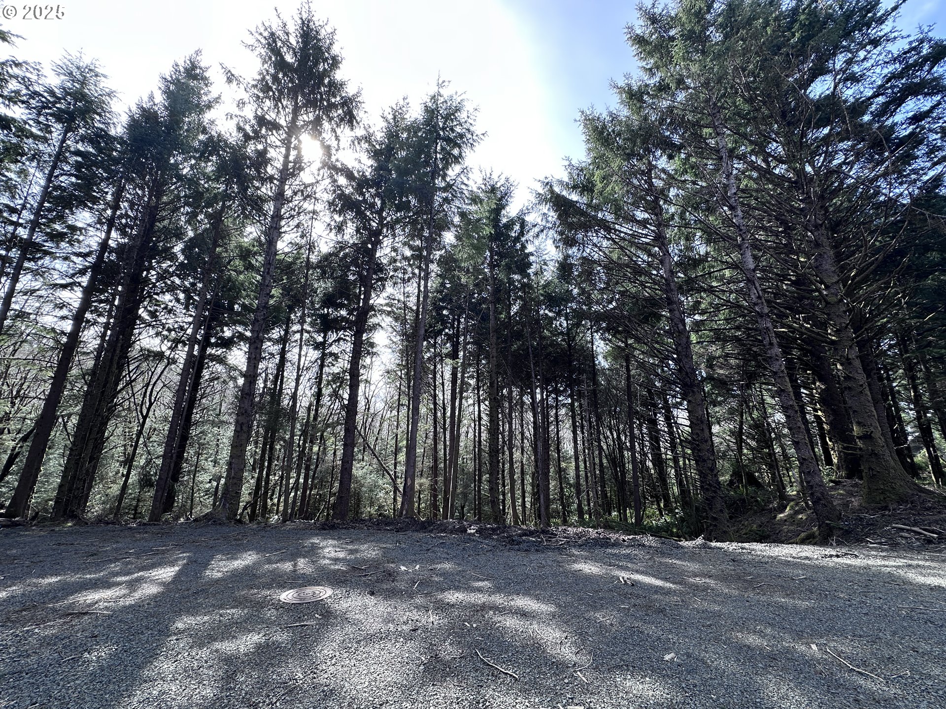 Greenleaf Road, Arch Cape, OR, 97102