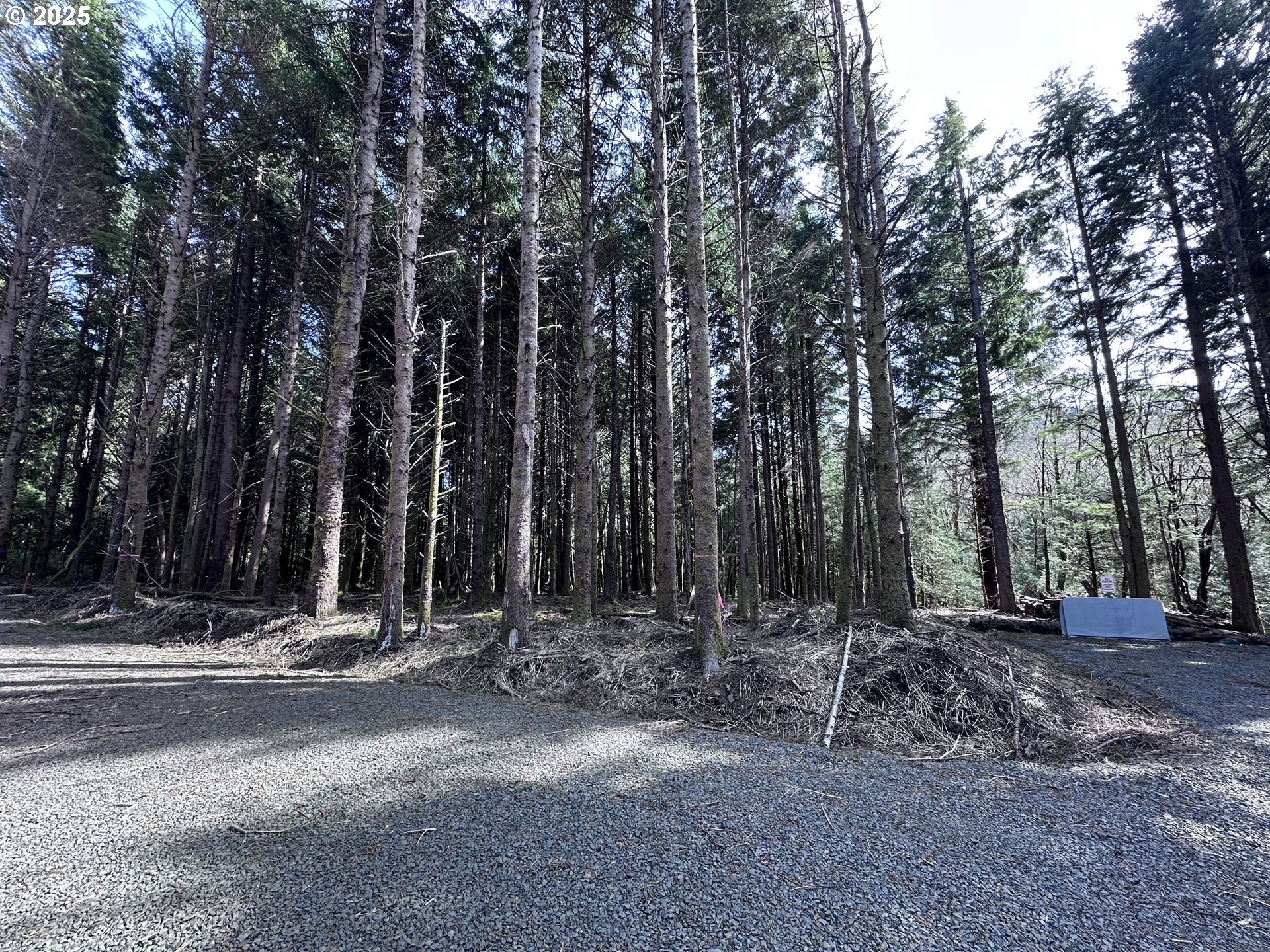 Greenleaf Road, Arch Cape, OR, 97102
