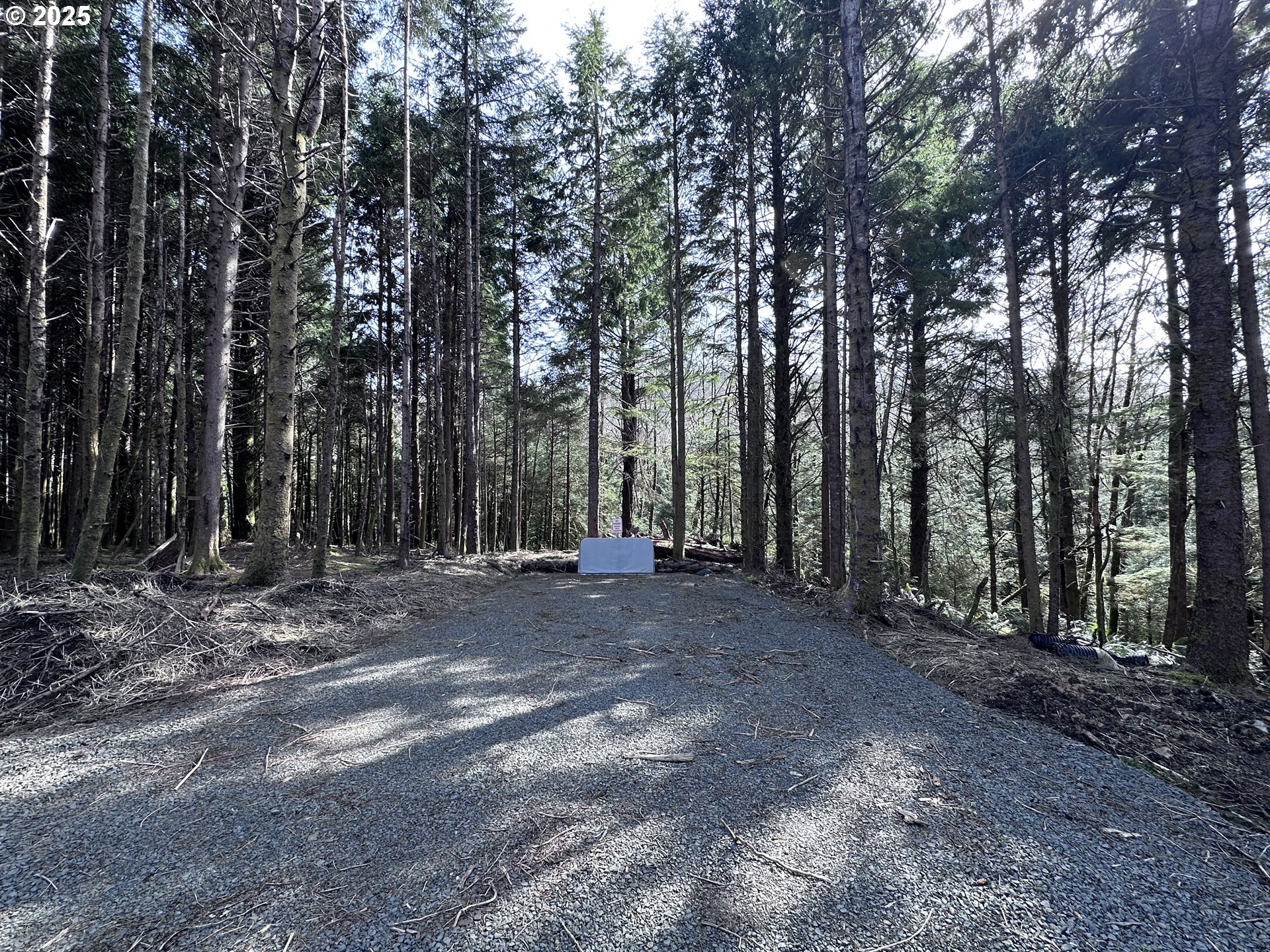 Greenleaf Road, Arch Cape, OR, 97102