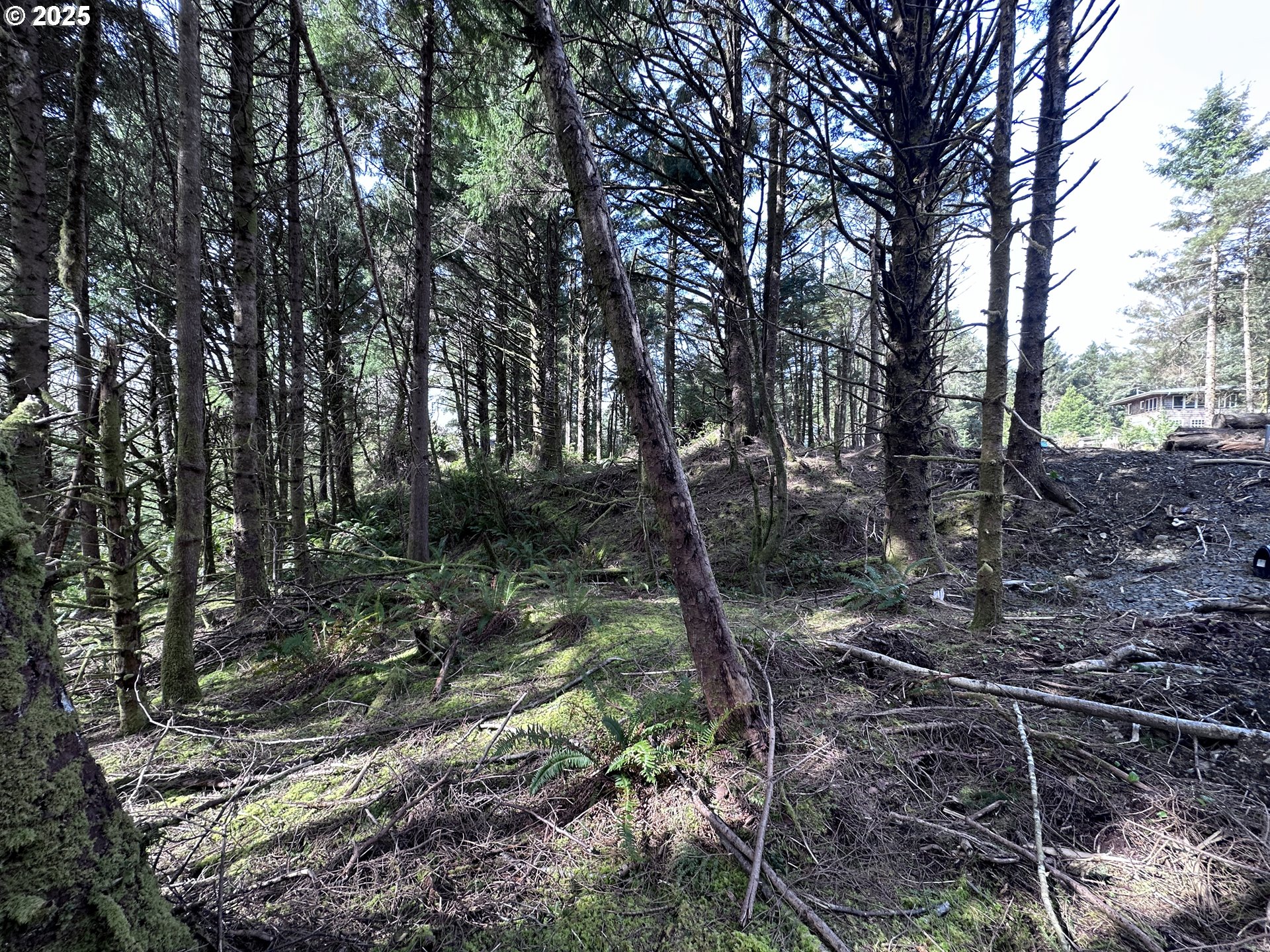Greenleaf Road, Arch Cape, OR, 97102