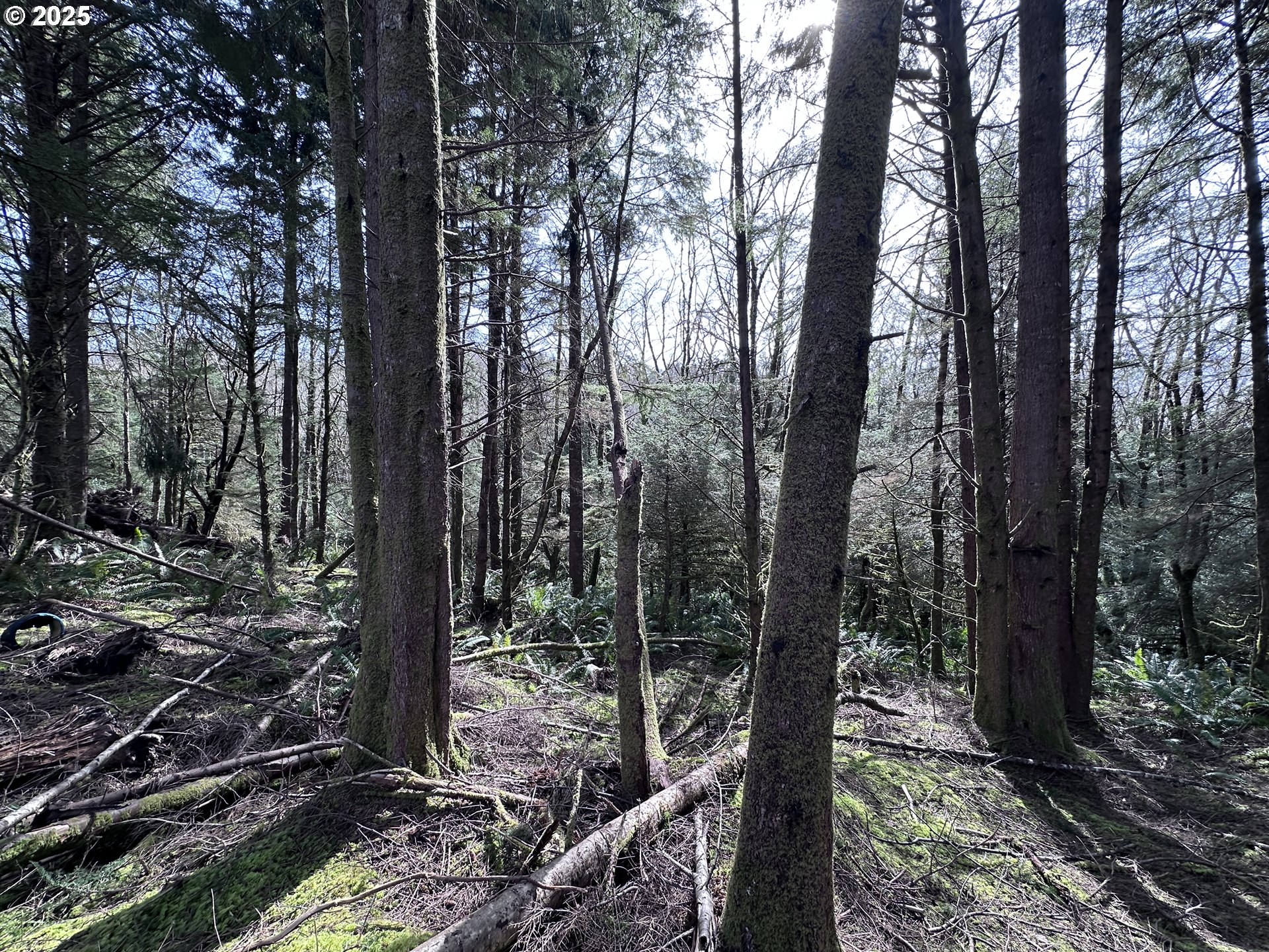 Greenleaf Road, Arch Cape, OR, 97102