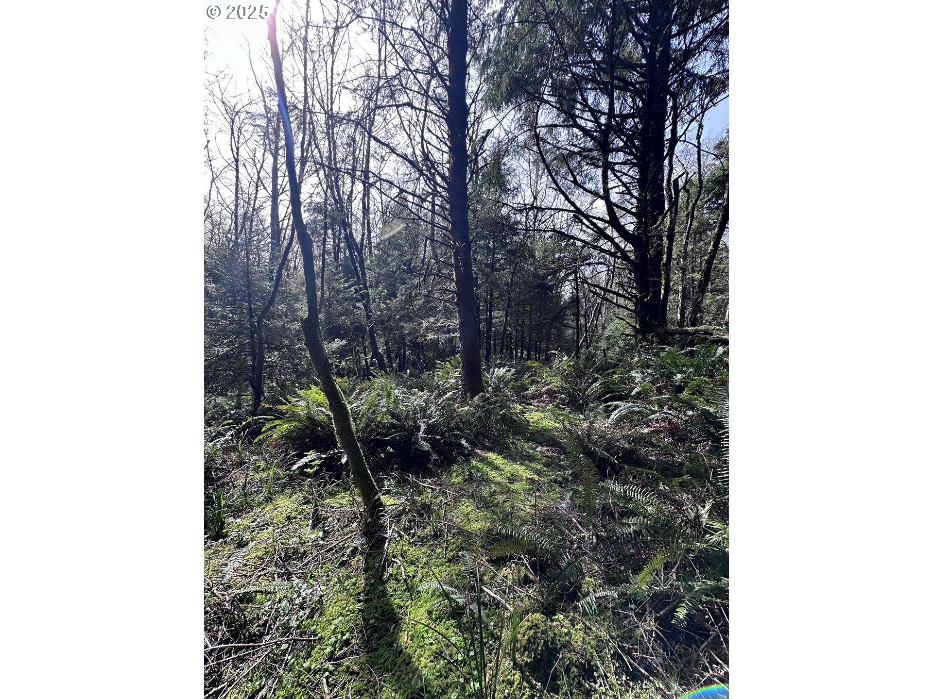 Greenleaf Road, Arch Cape, OR, 97102