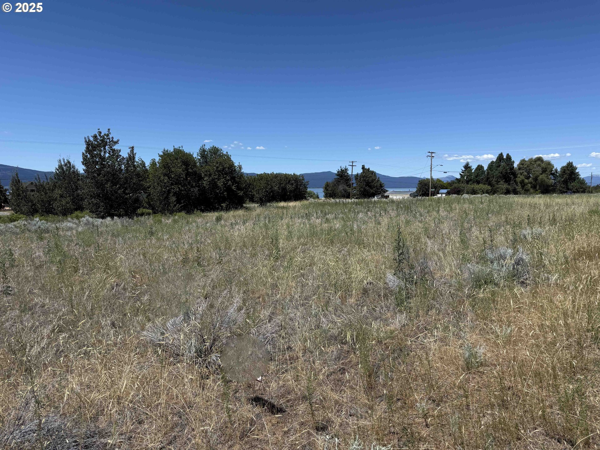 Search Homes for Sale