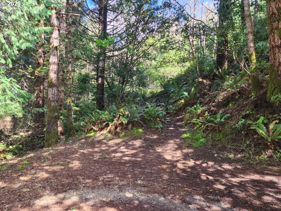 Search Homes for Sale