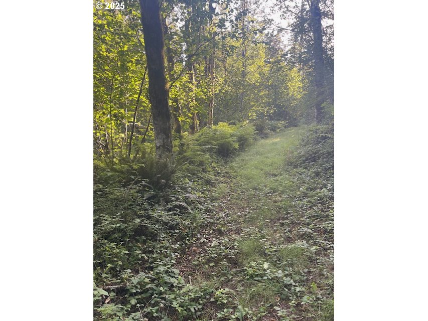 Washougal Listings Washougal Listings