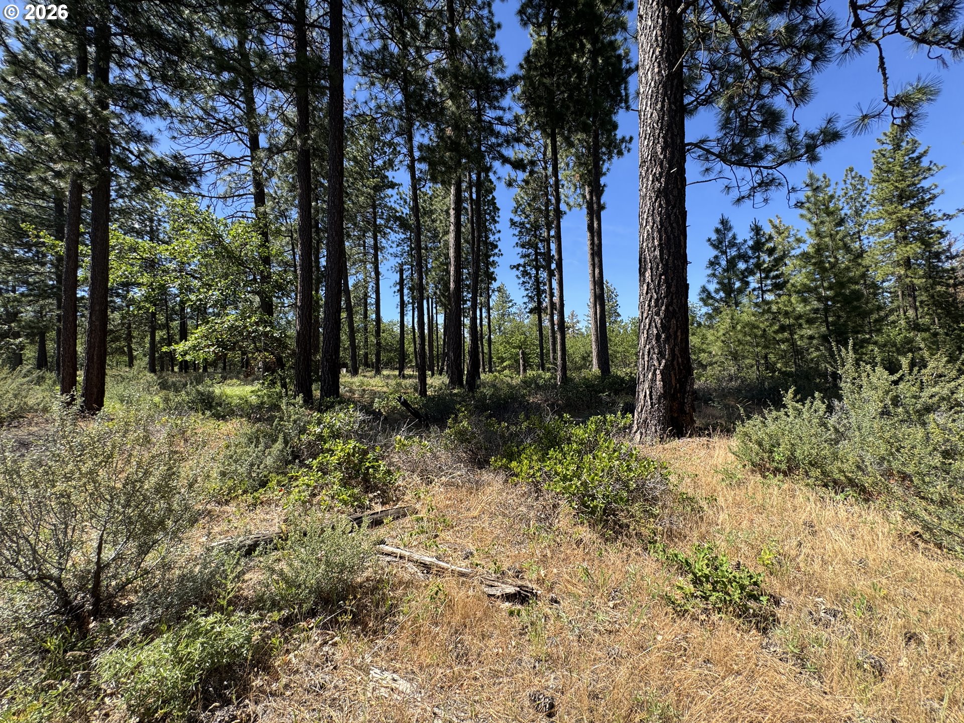 Photo of 112 TIMBER RD Roosevelt WA 99356