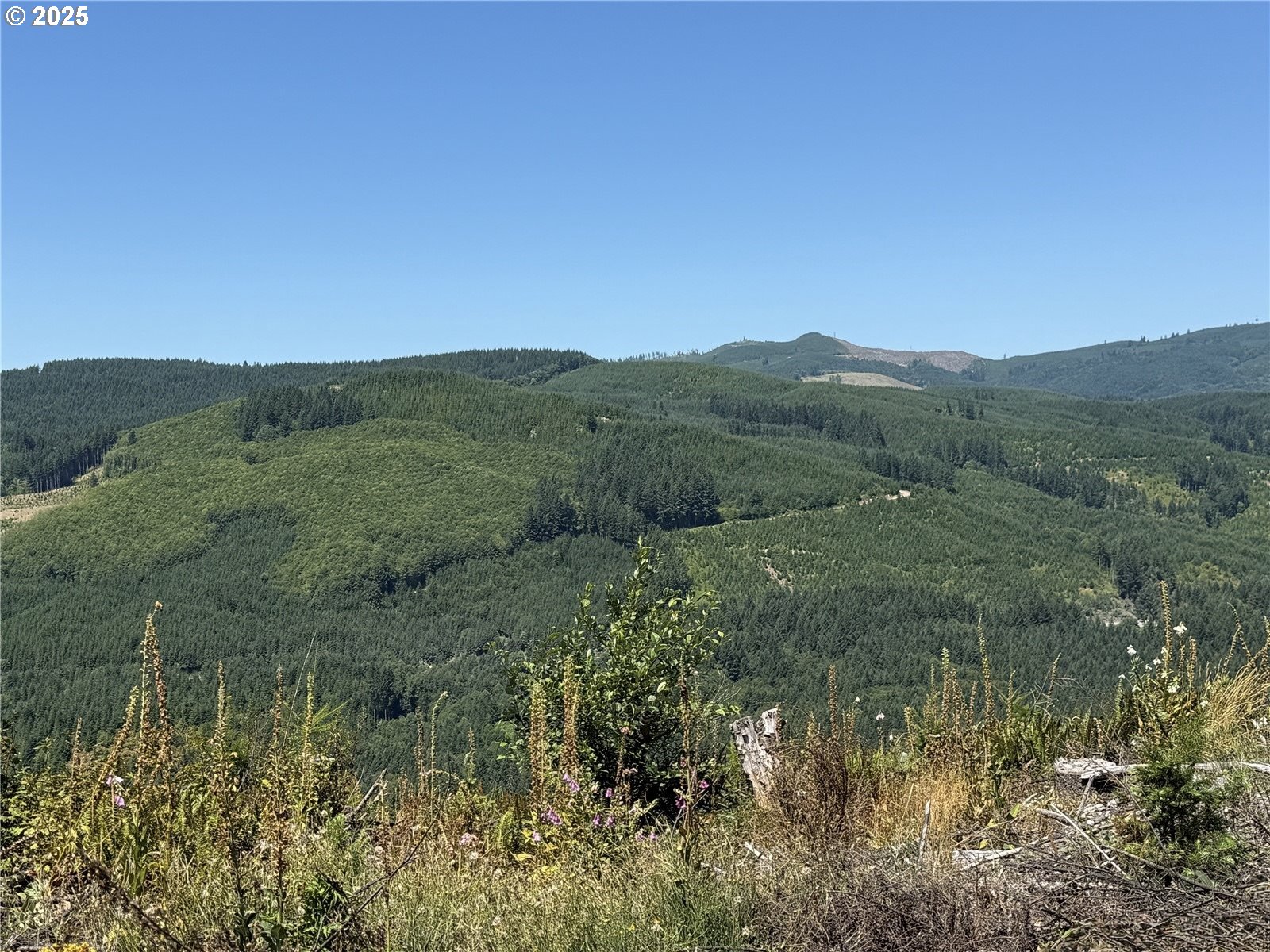 2670 SE 174TH AVE, Portland, OR, 97236 2670 SE 174TH AVE, Portland, OR, 97236