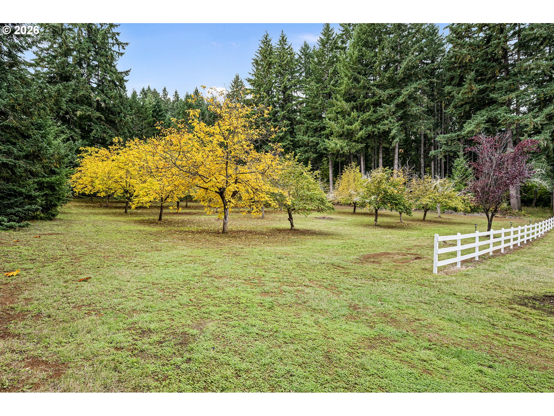 Property photo 42 of 47