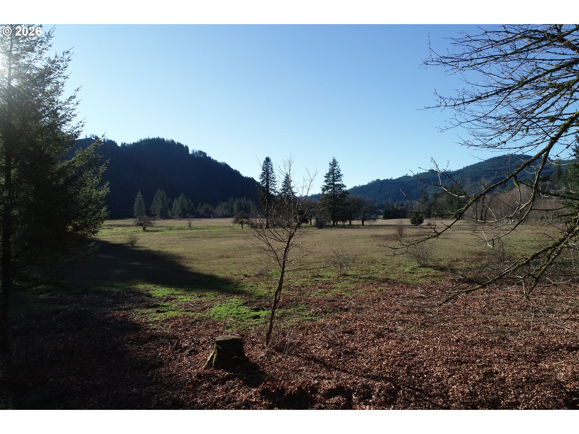 11839 LEWIS RIVER RD, Ariel, WA, 98603