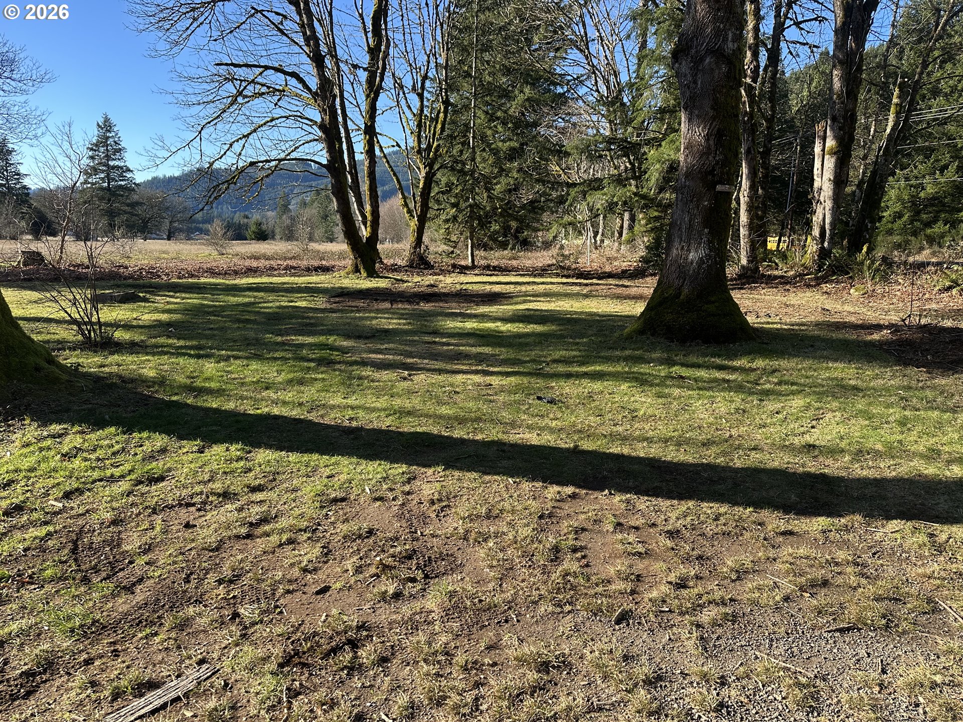 11839 LEWIS RIVER RD, Ariel, WA, 98603