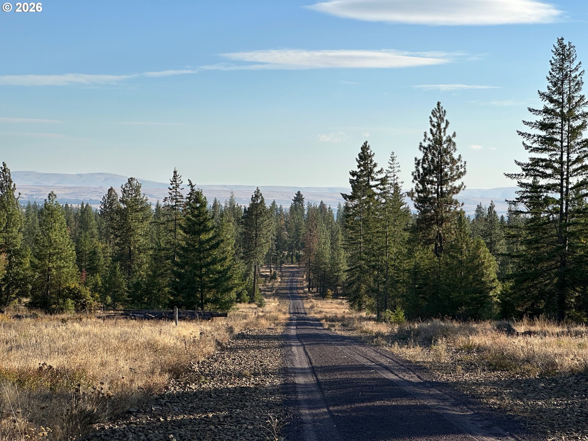 Search Homes for Sale