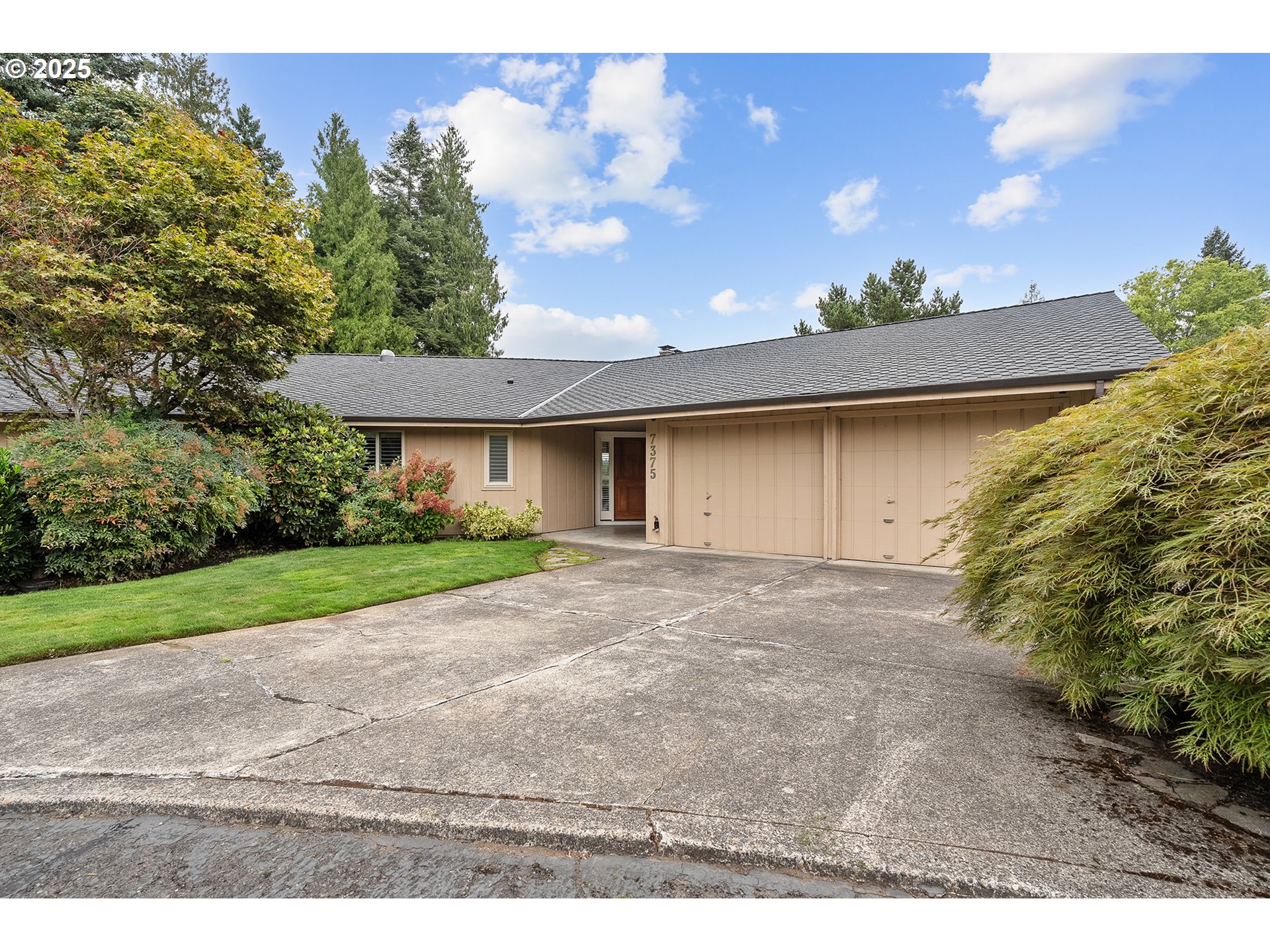 Photo #3: 401164153 Listing 