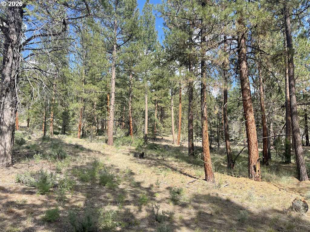 Search Homes for Sale