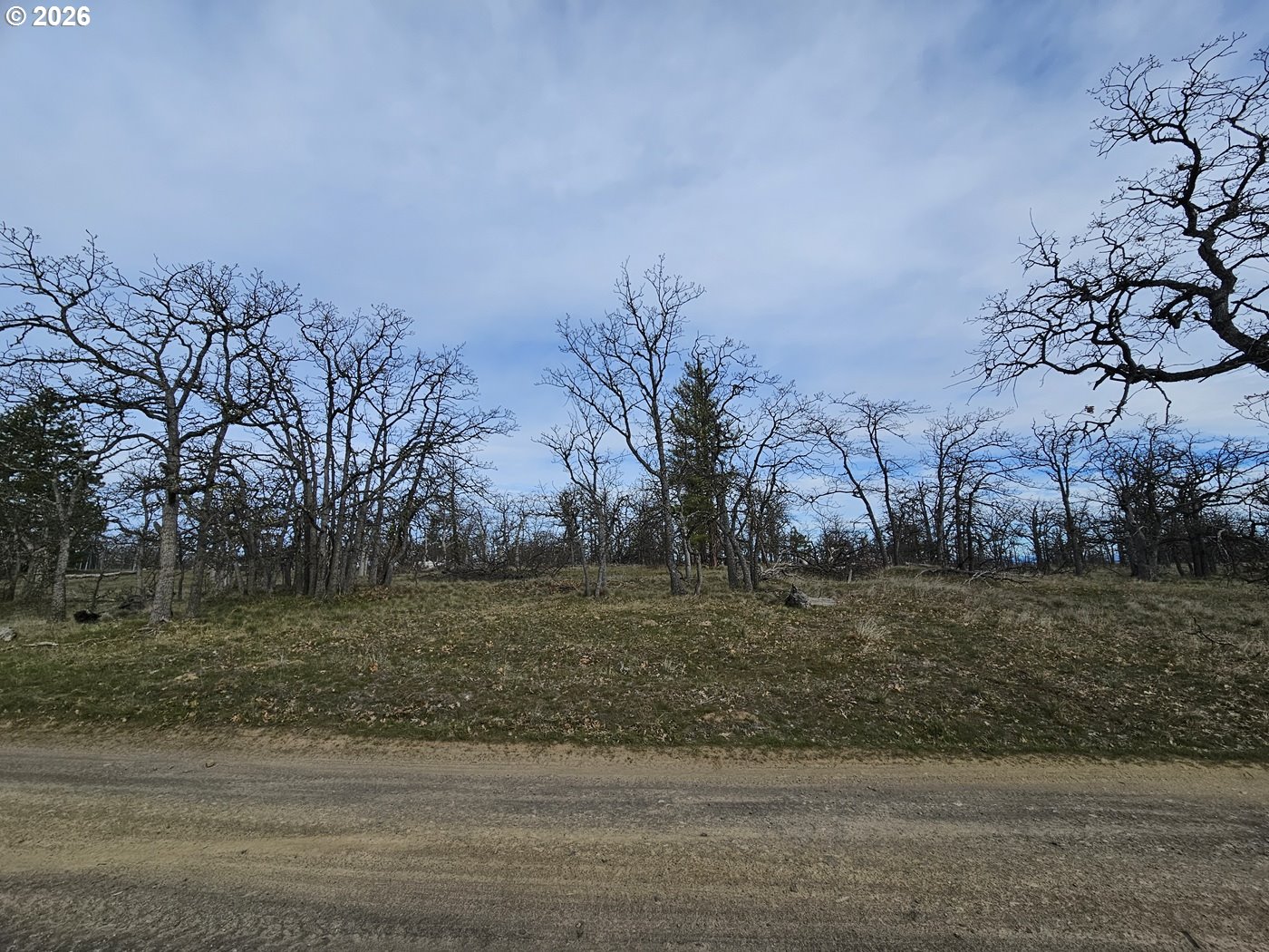 Search Homes for Sale