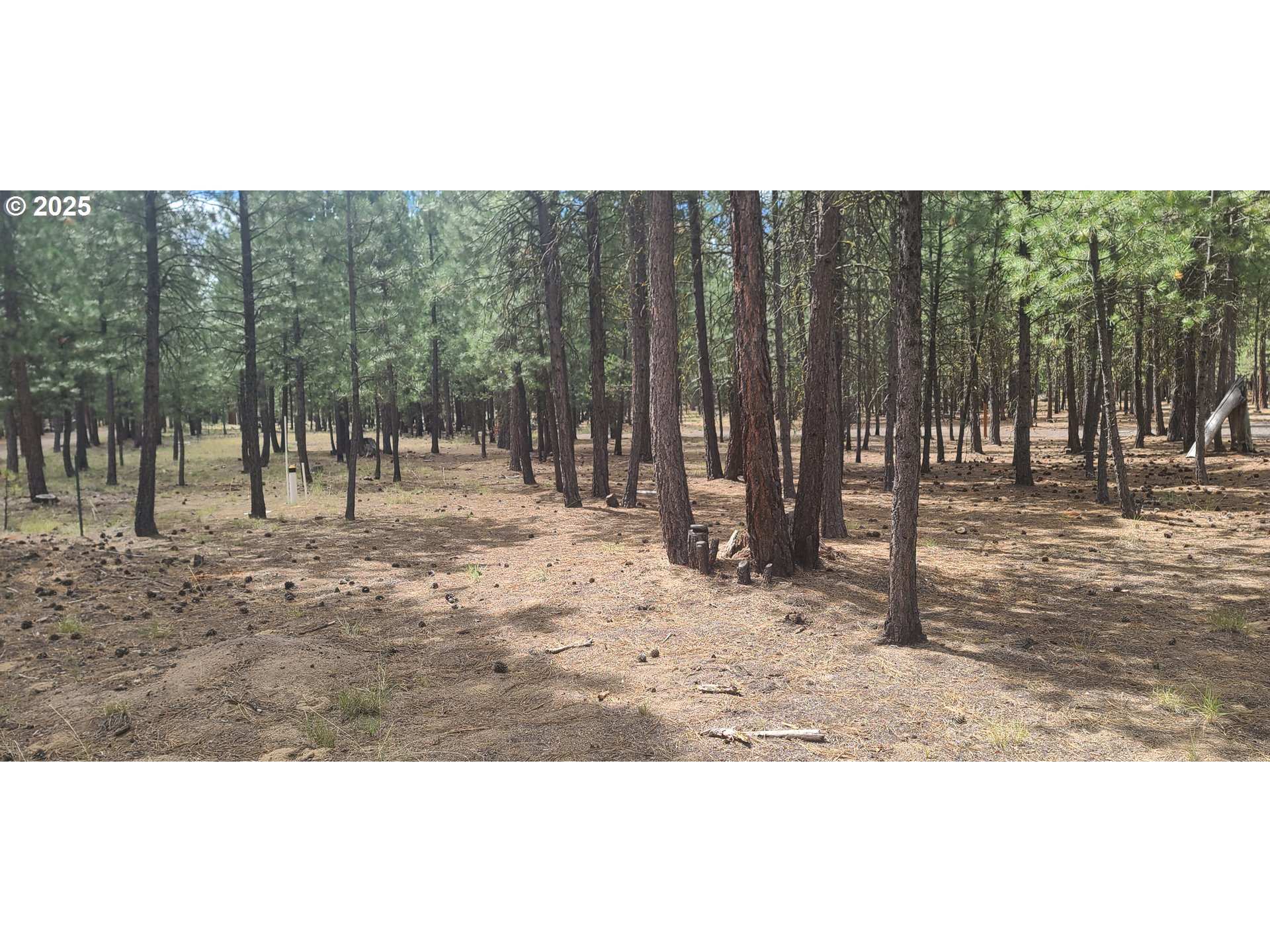 52328 ELDERBERRY CT, La Pine, OR, 97739