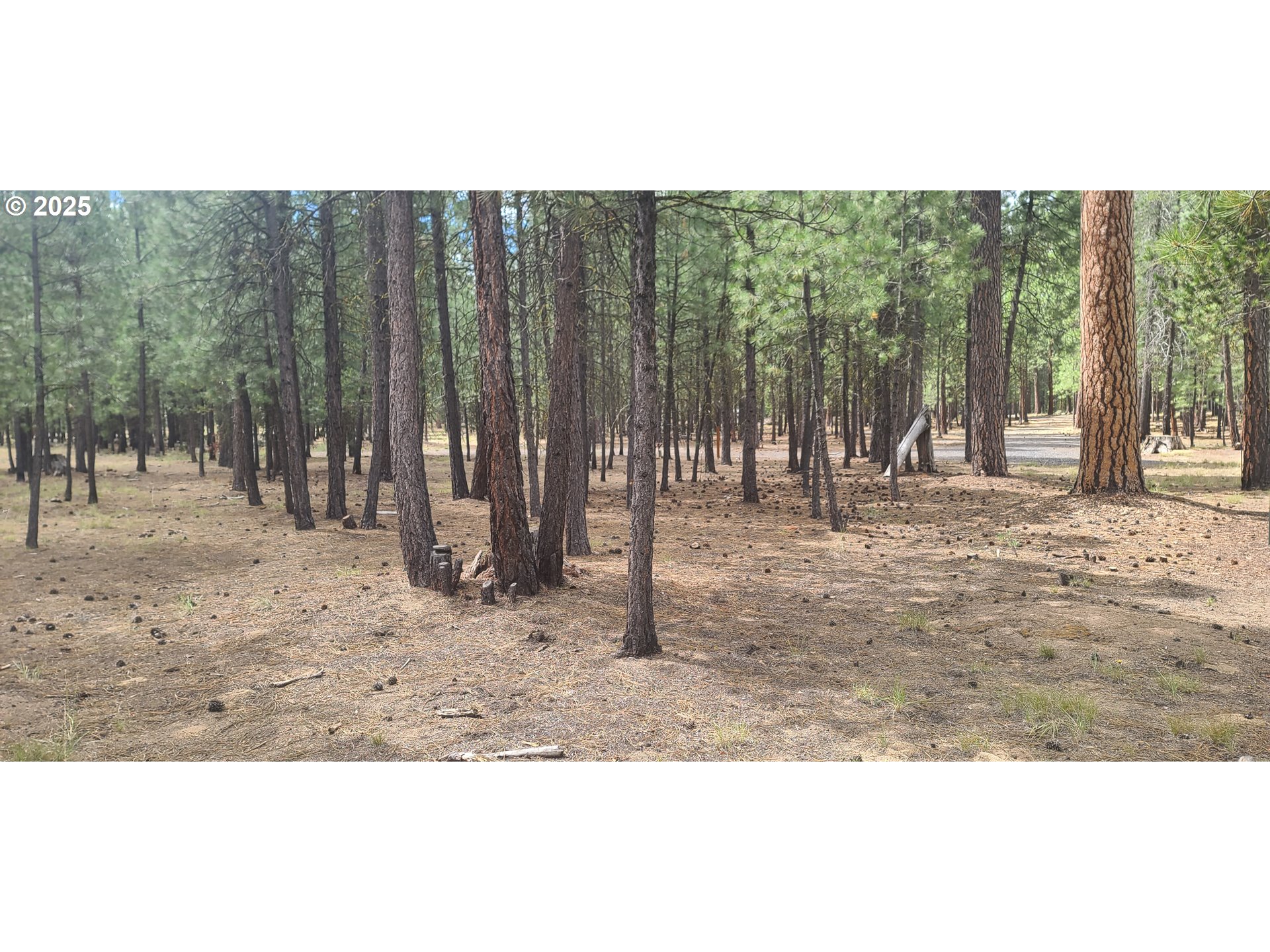 52328 ELDERBERRY CT, La Pine, OR, 97739