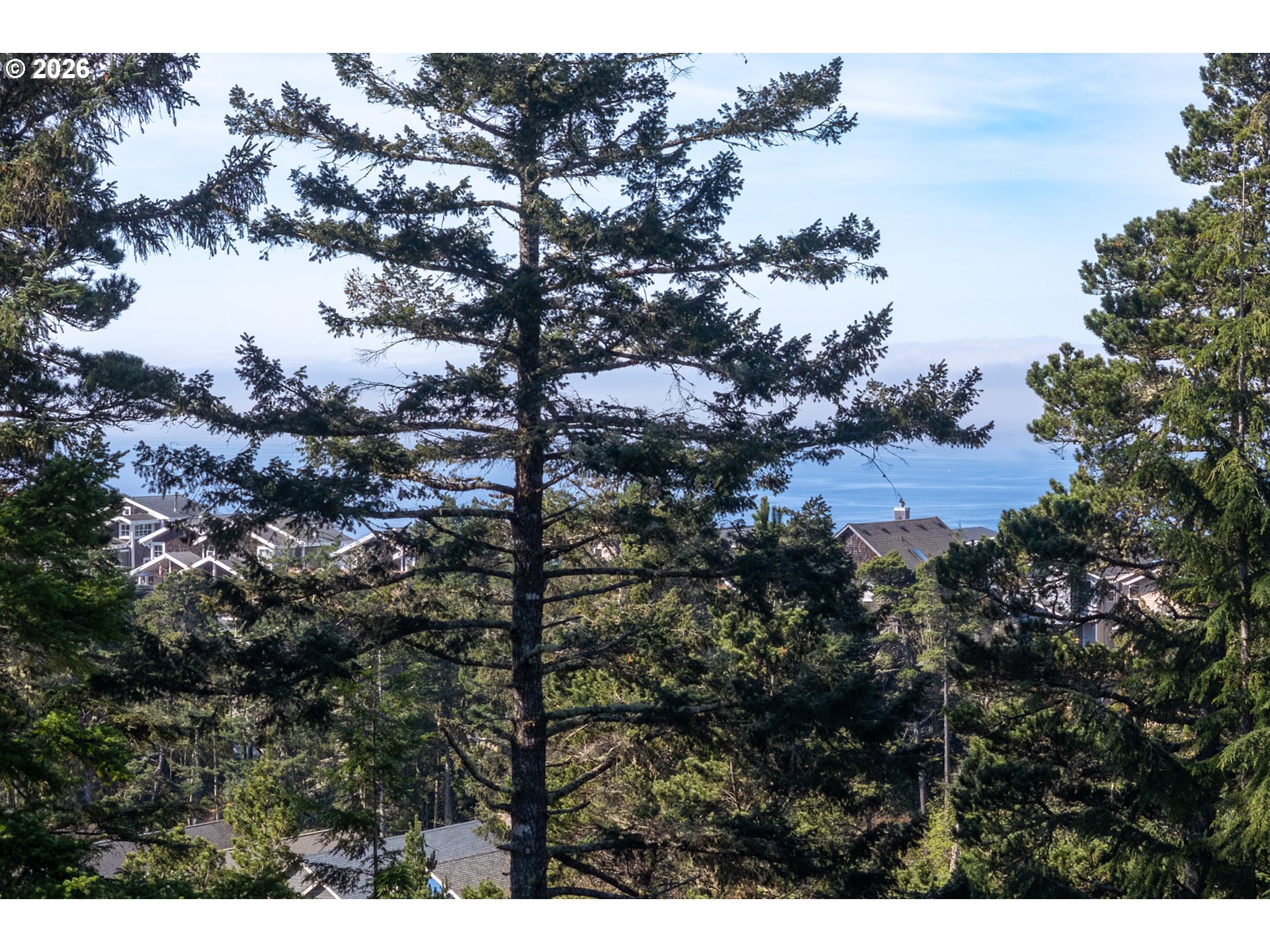 Highland DR UNIT TL 600, Oceanside, OR, 97134