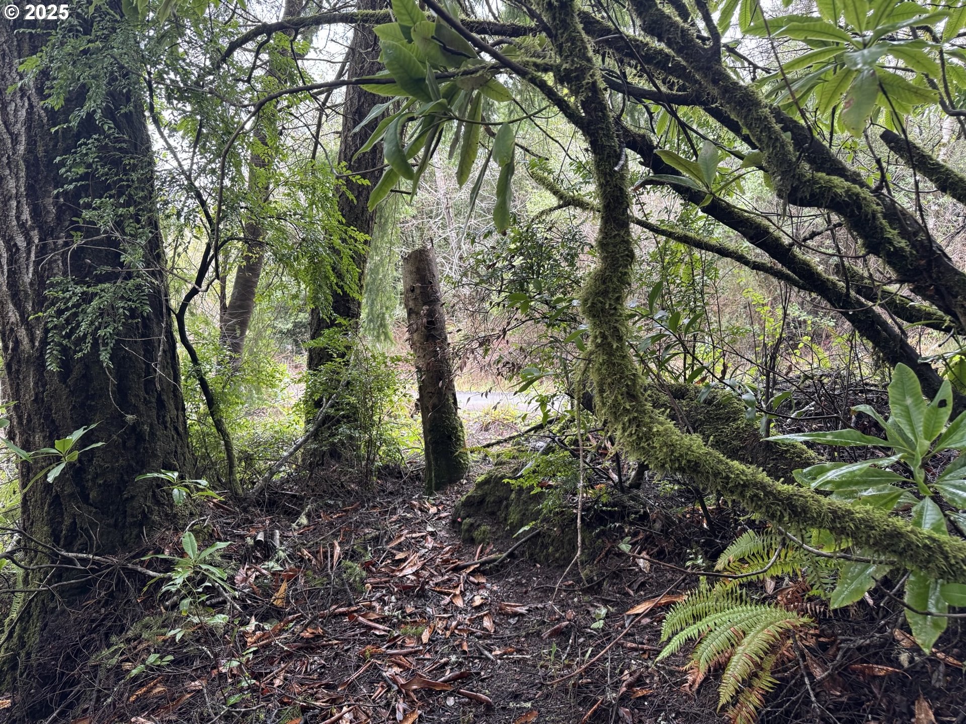 Search Homes for Sale