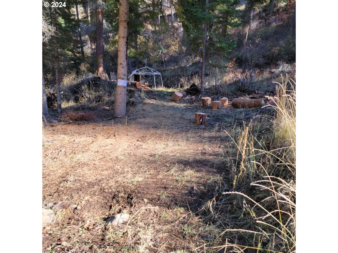 Search Homes for Sale