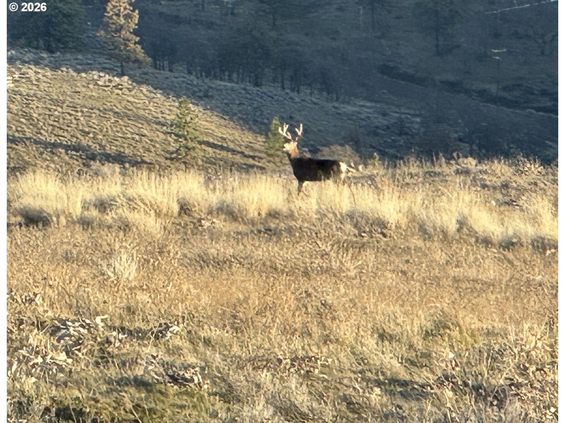 Search Homes for Sale