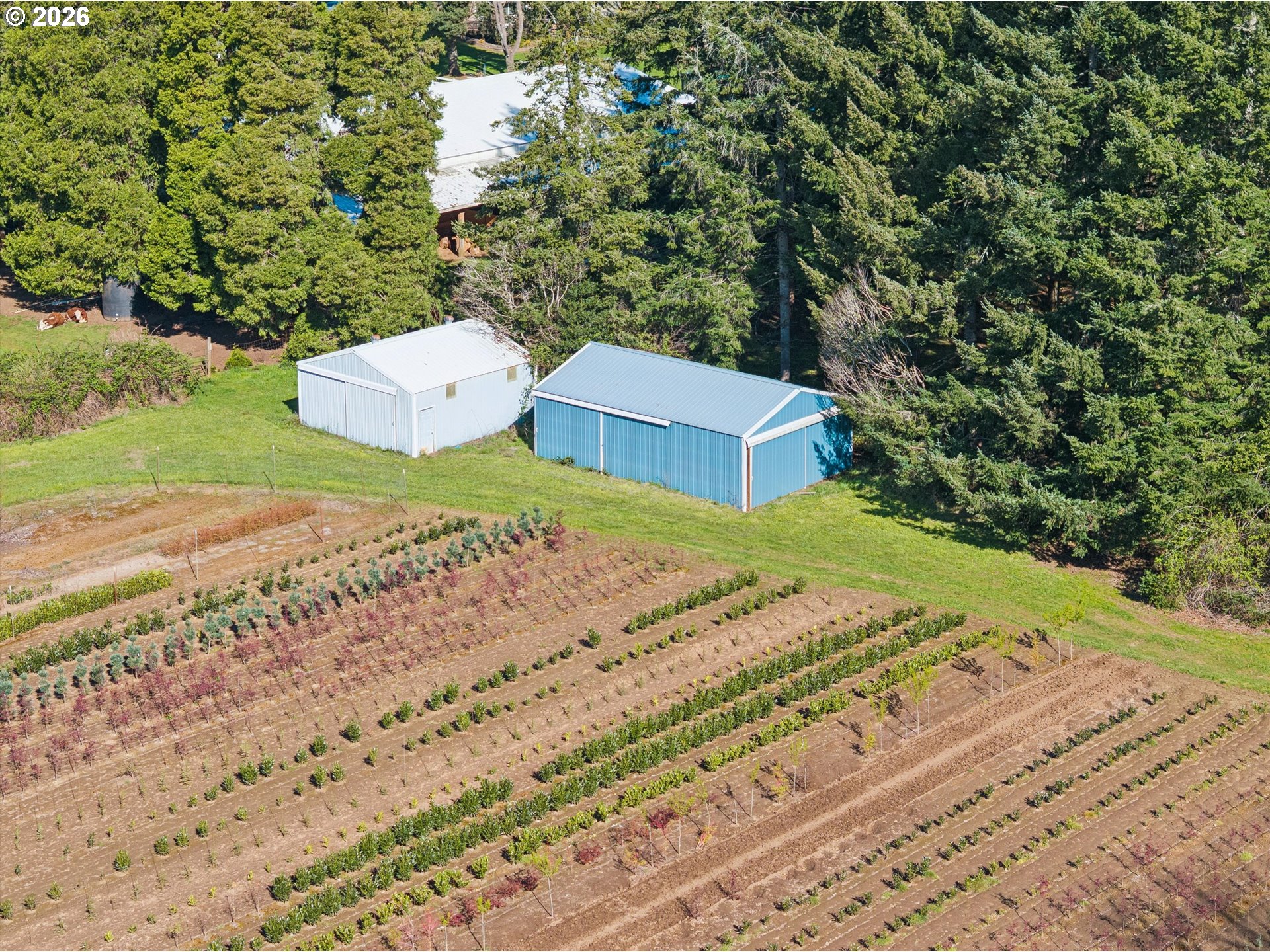 38101 SE HAUGLUM RD, Sandy, OR, 97055