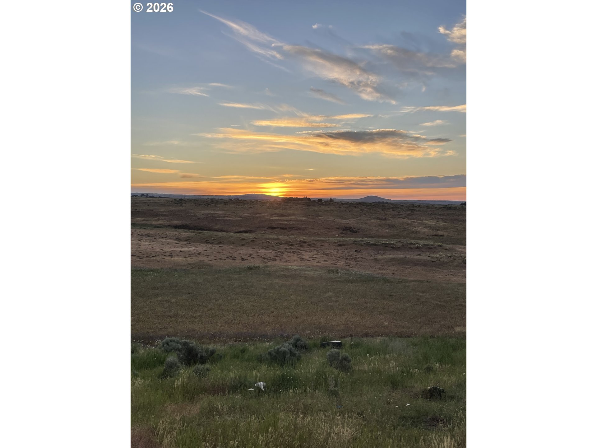 Search Homes for Sale