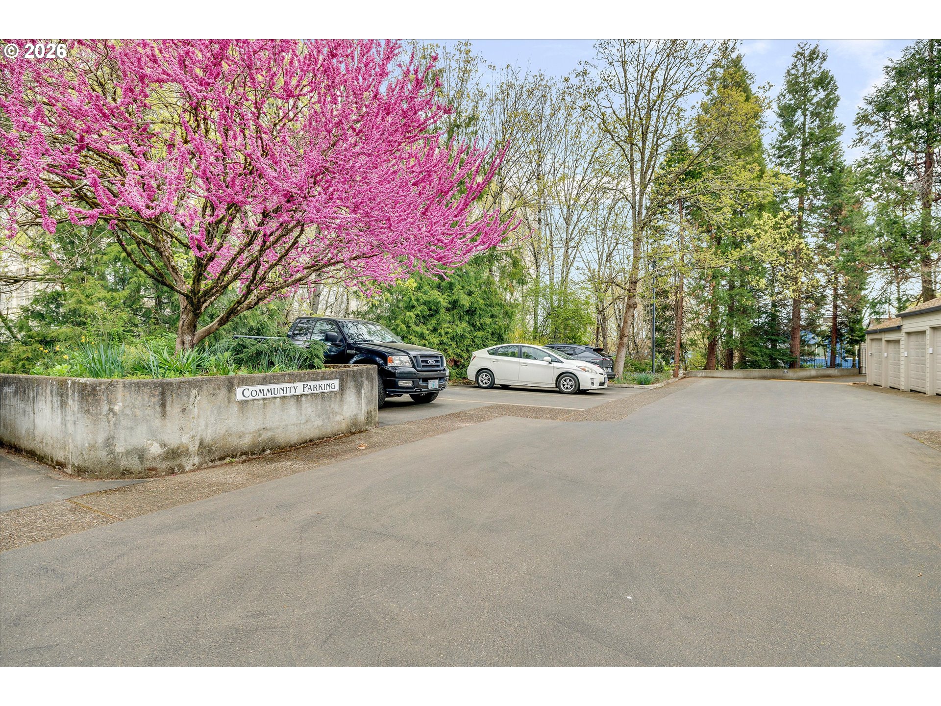 Photo #44: 412876040 Listing: Photo #44