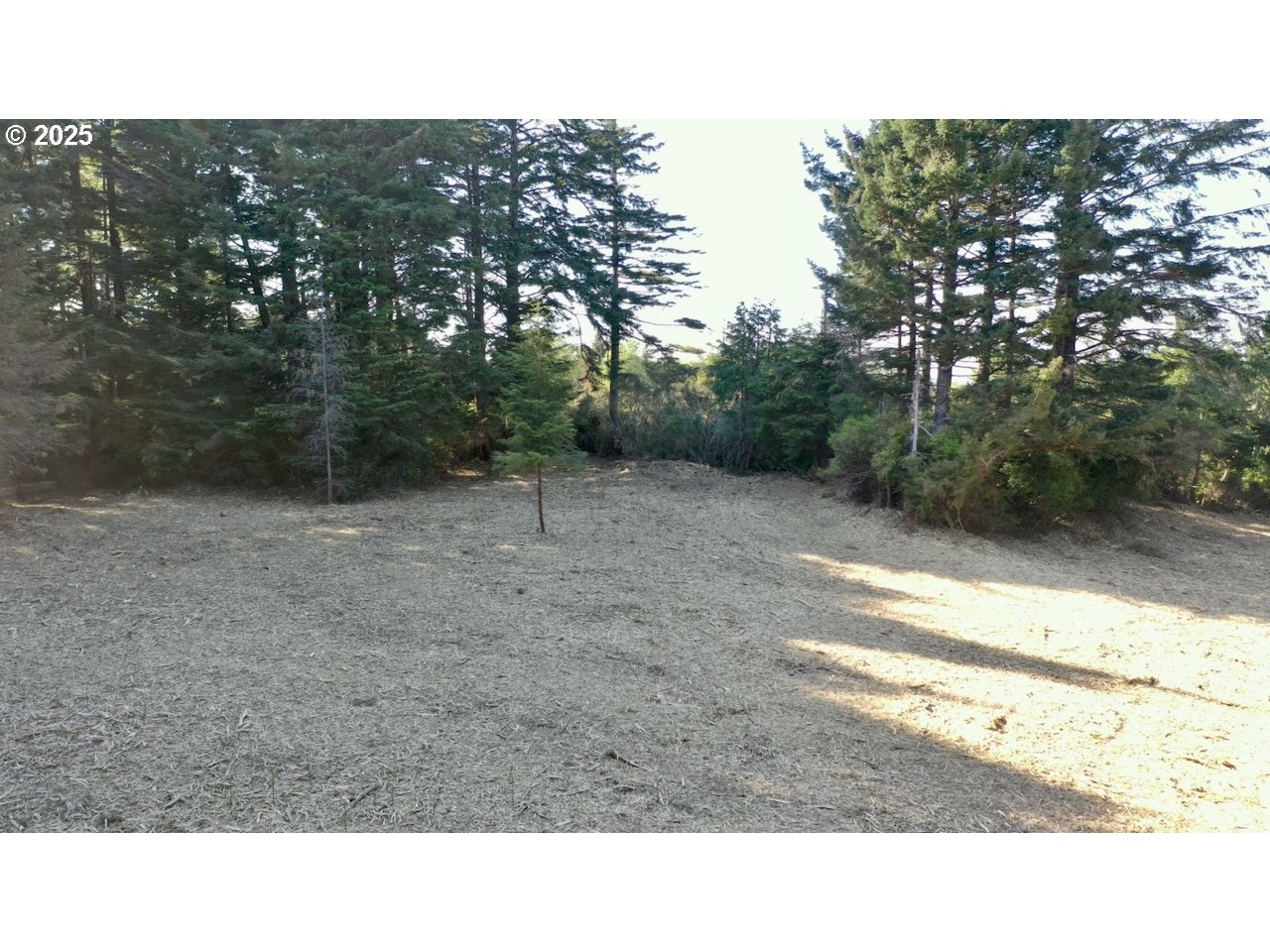 42836 HENSLEY HILL RD, Port Orford, OR, 97465