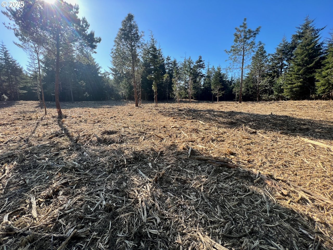 42836 HENSLEY HILL RD, Port Orford, OR, 97465