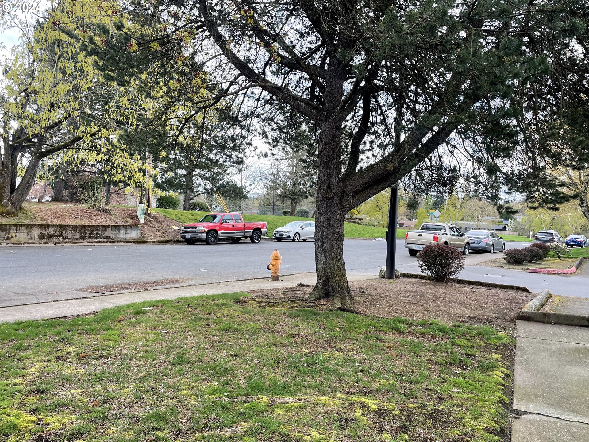 Photo #7: 416437986 Listing: Photo #7