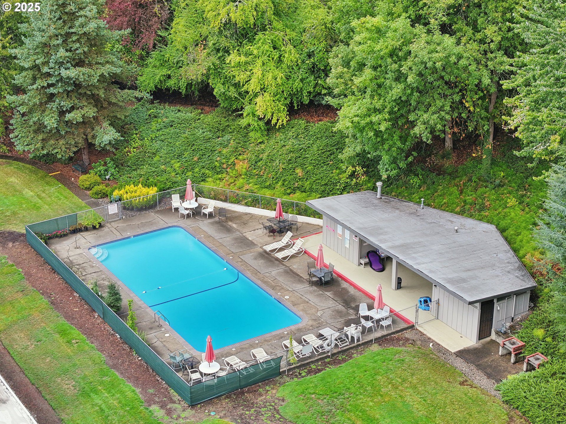 Photo #8: 416741282 Listing: Photo #8