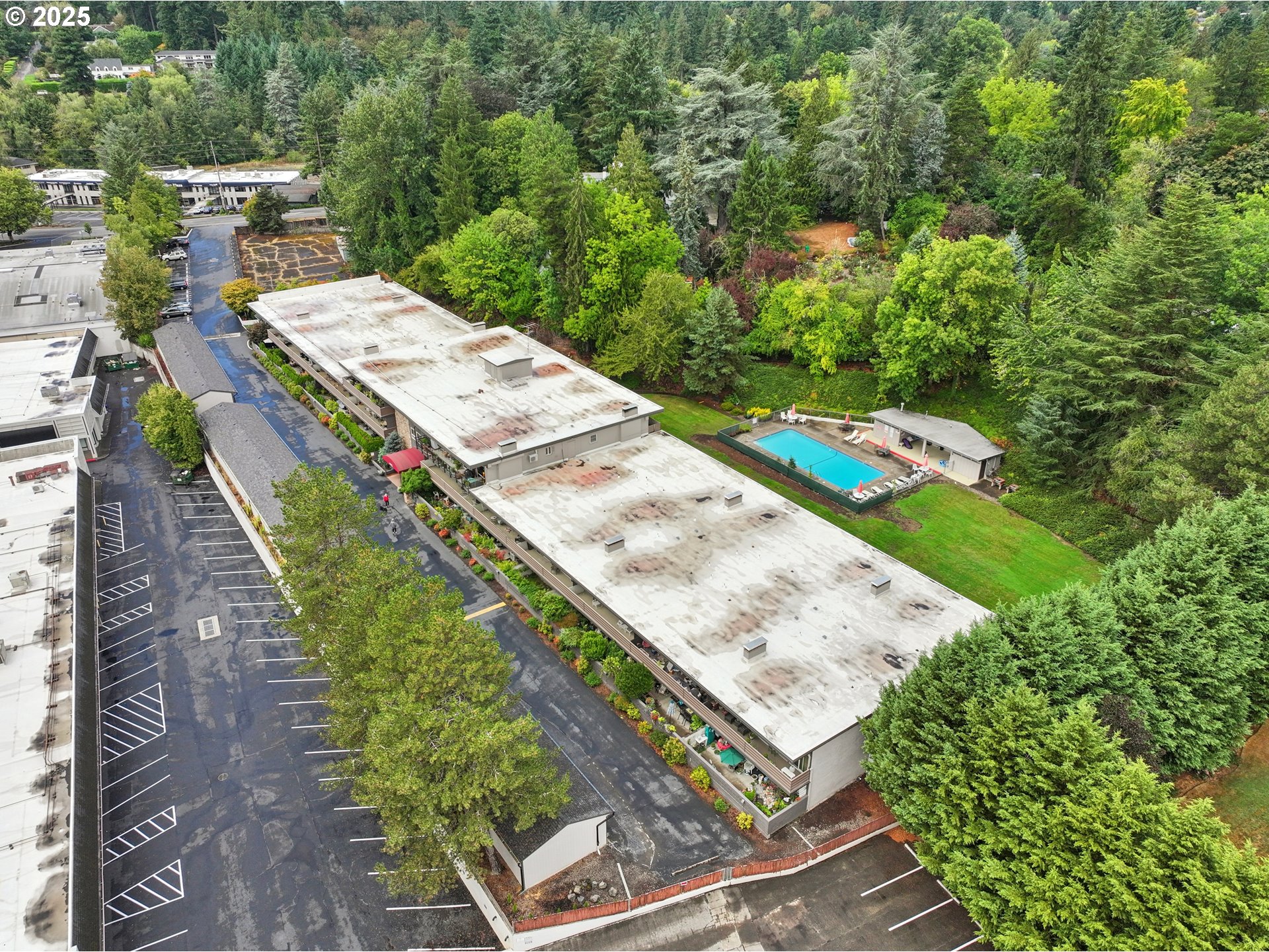 Photo #7: 416741282 Listing: Photo #7