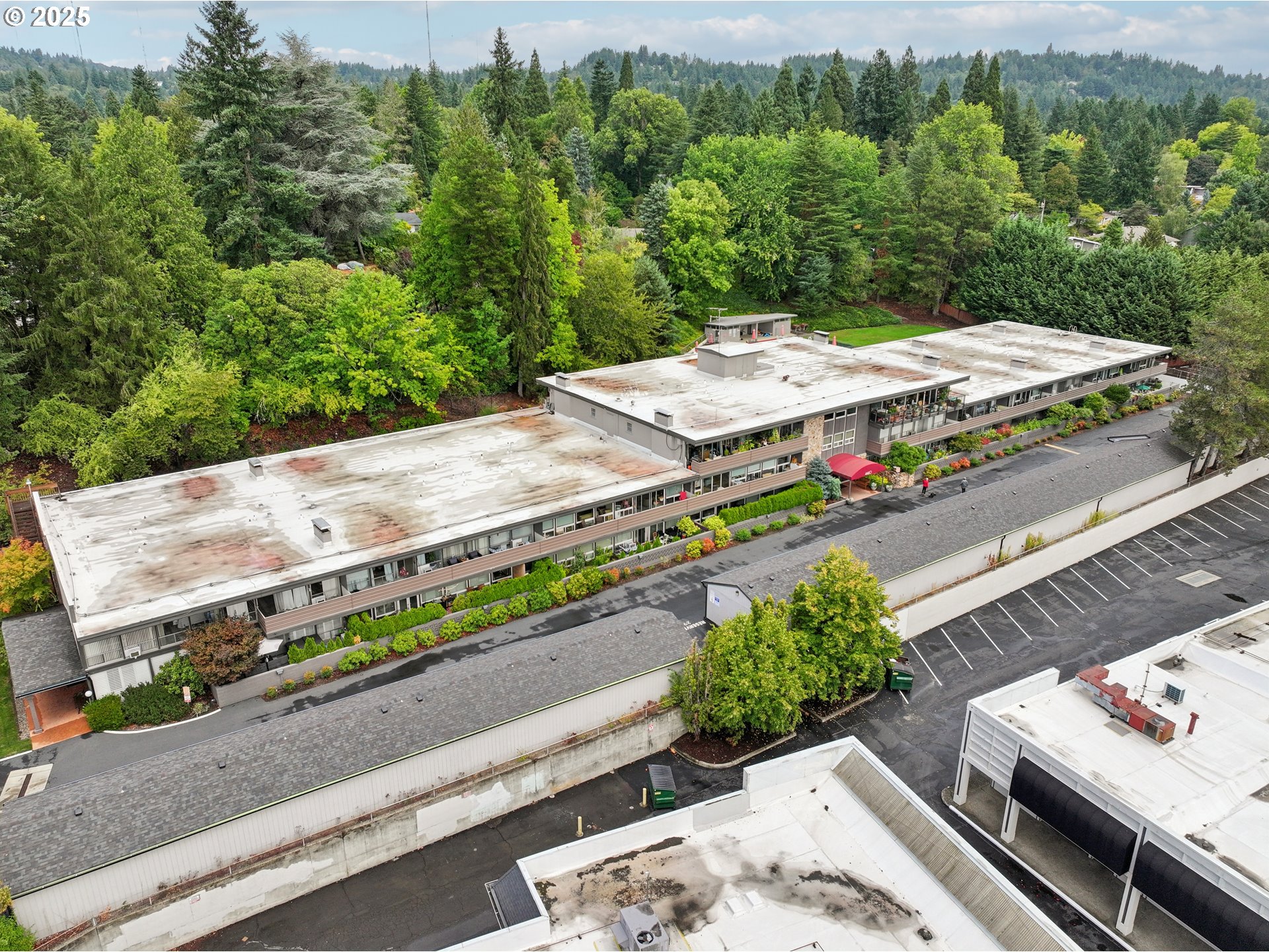 Photo #5: 416741282 Listing 
