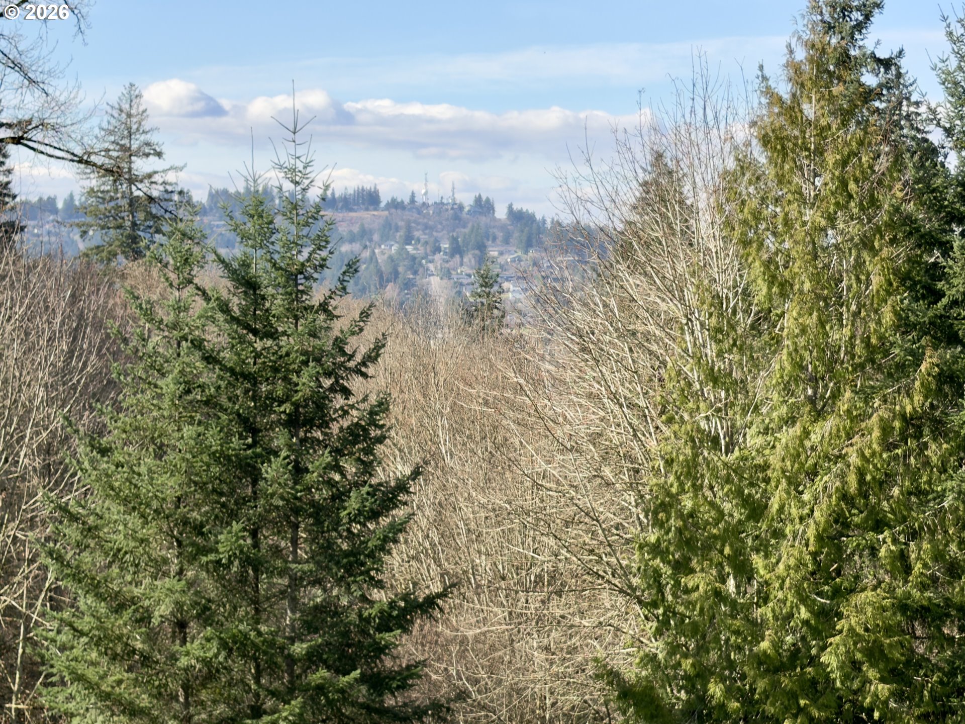 9460 SE JEANNE RD, Happy Valley, OR, 97086