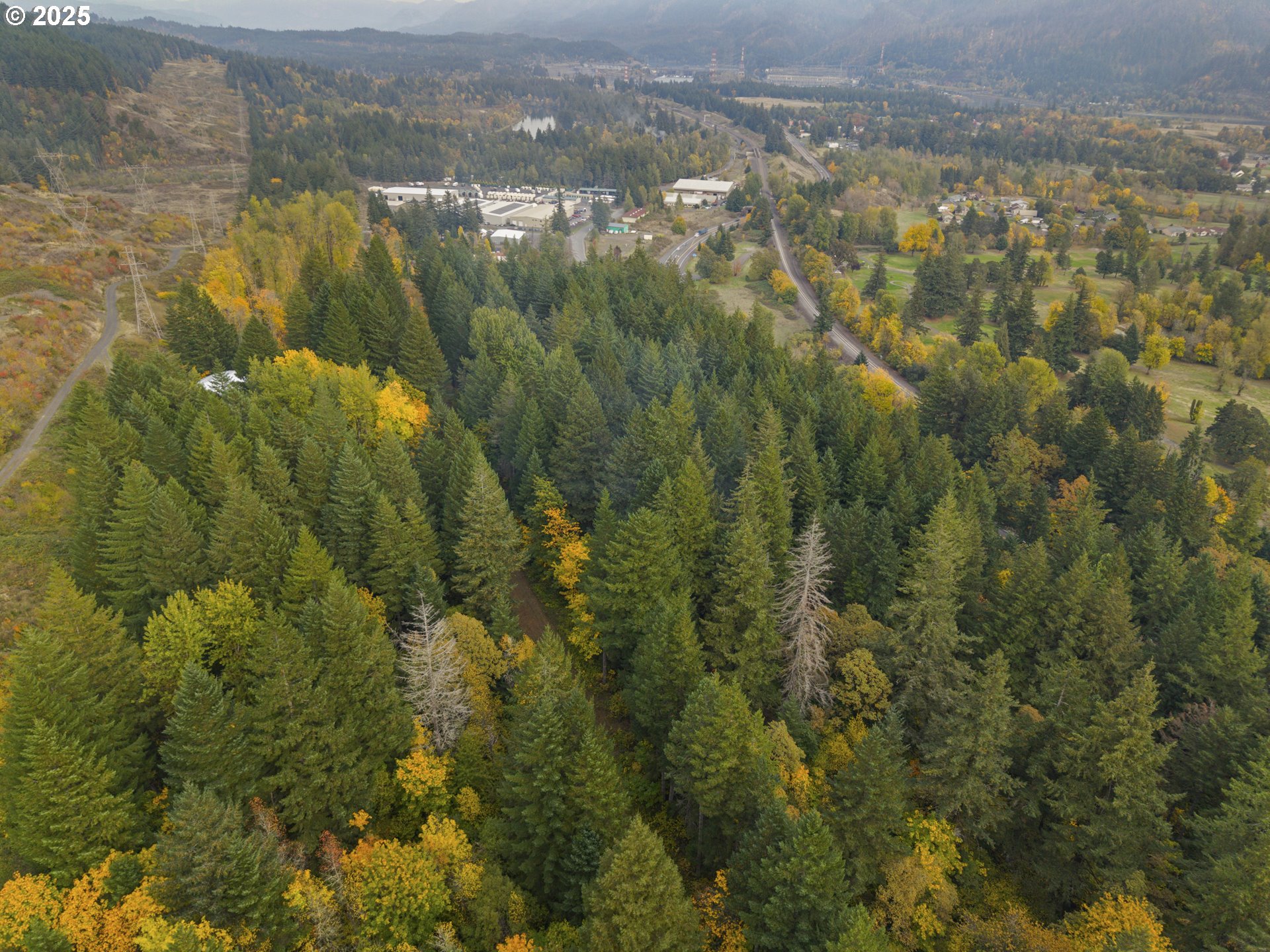 Search Homes for Sale