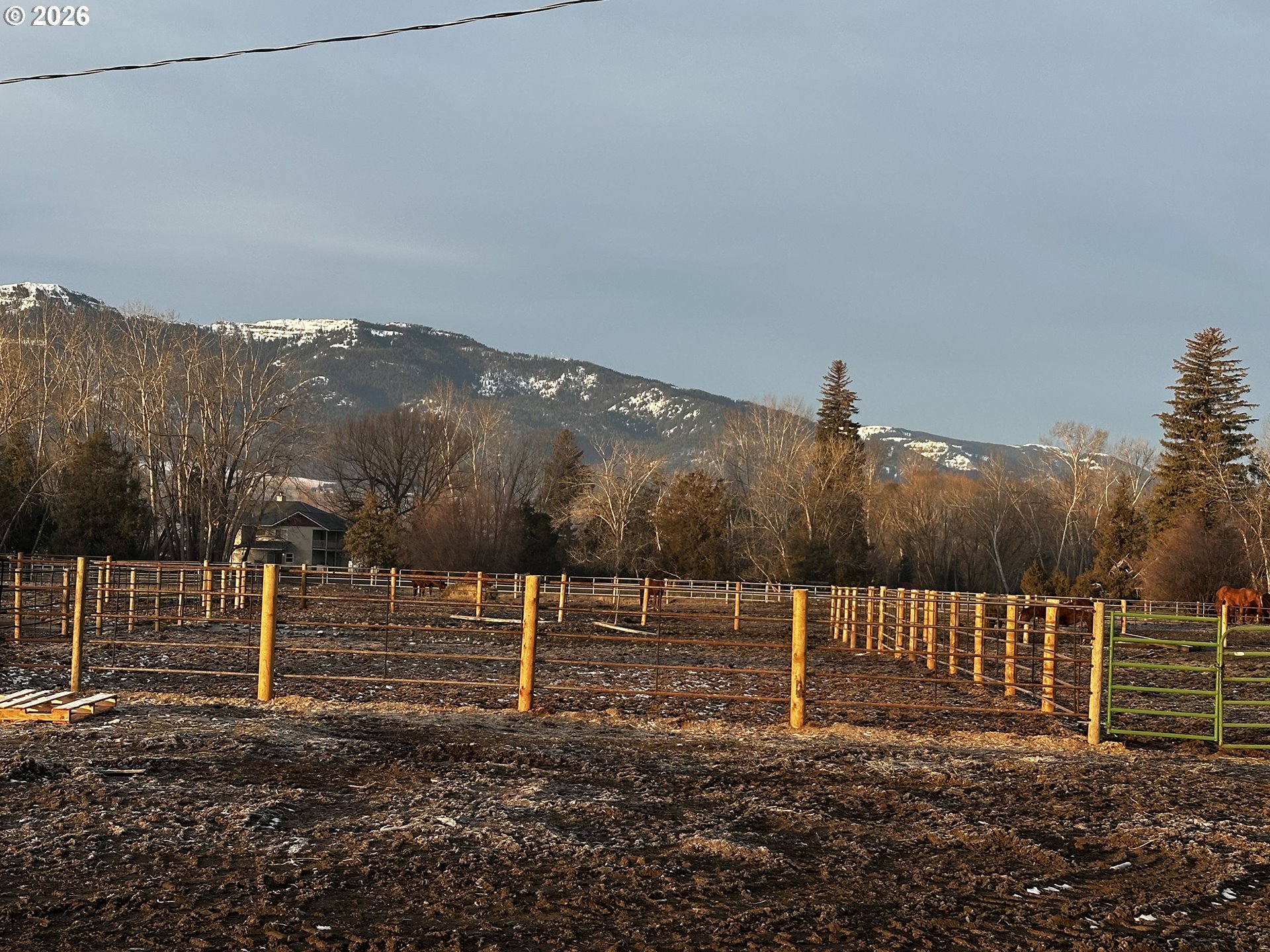 1480 IVY ST, Junction City, OR, 97448