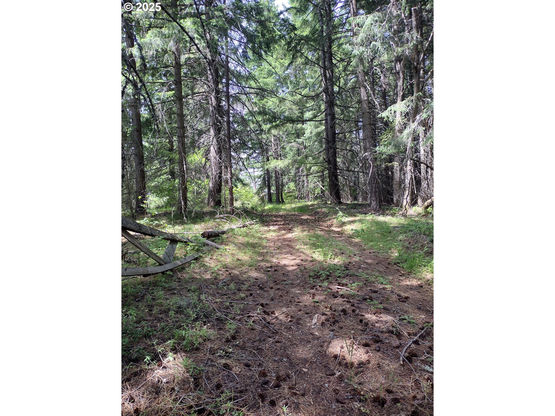 0 Lyle Snowden Road UNIT 1, Lyle, WA, 98635