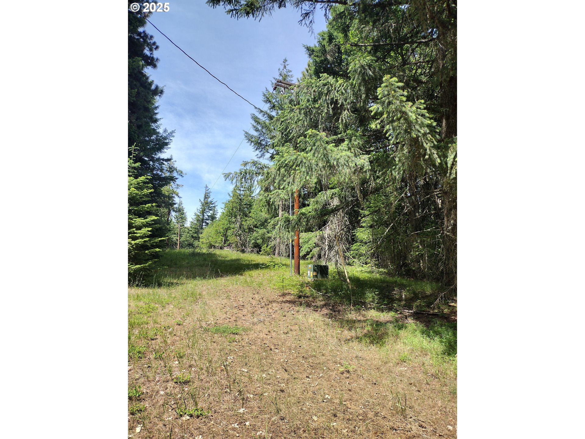 0 Lyle Snowden Road UNIT 1, Lyle, WA, 98635