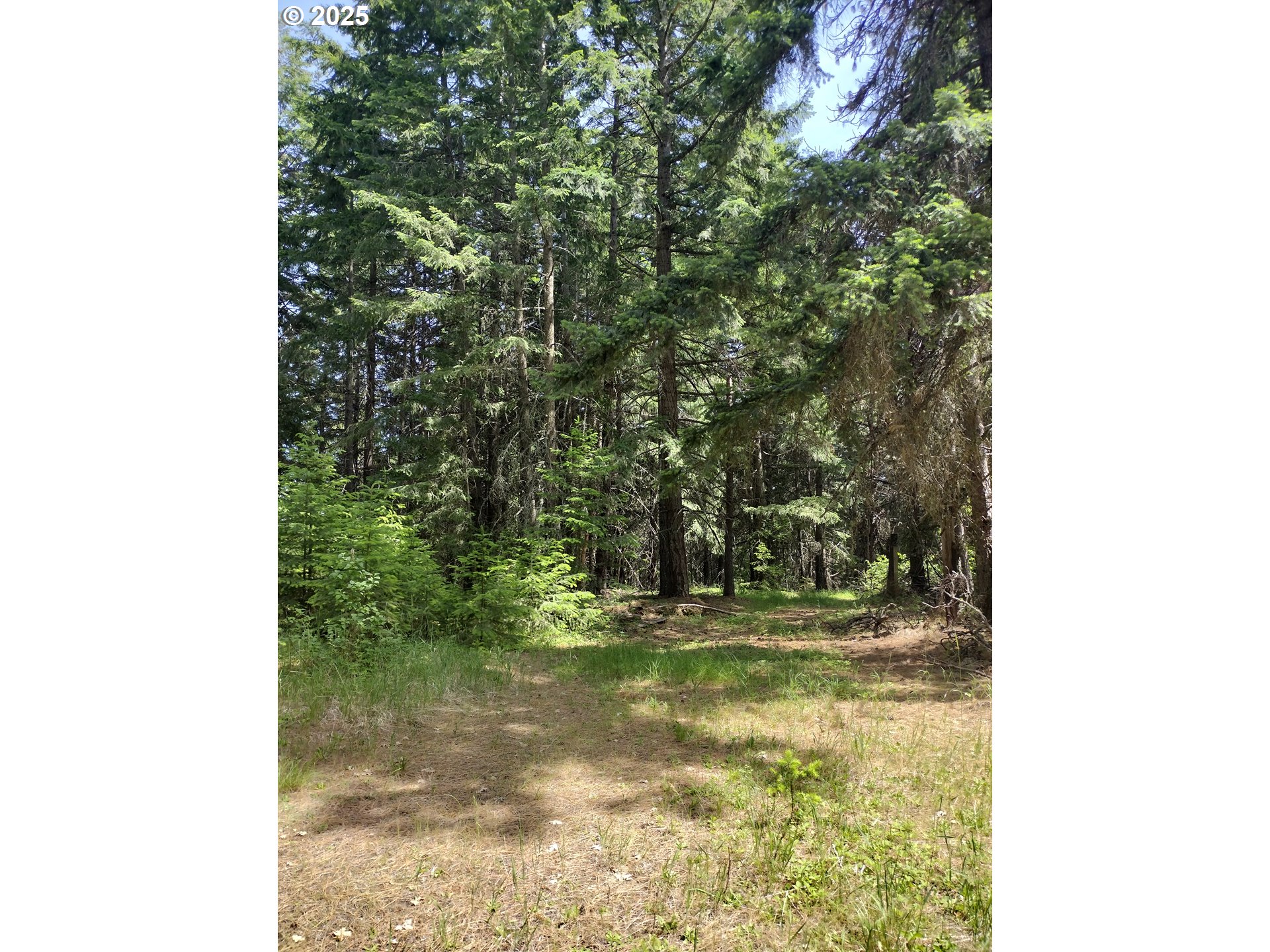 0 Lyle Snowden Road UNIT 1, Lyle, WA, 98635
