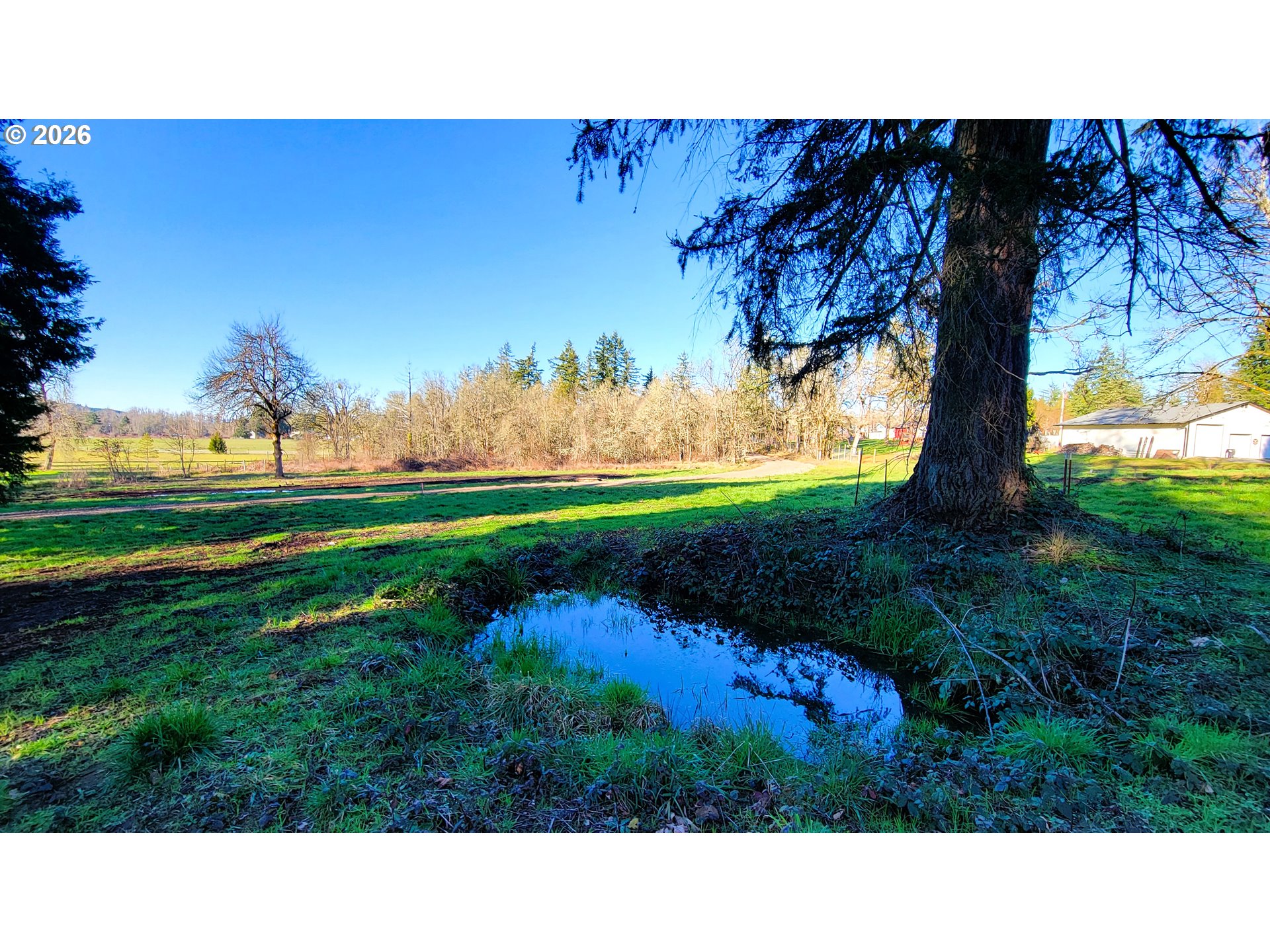 Search Homes for Sale