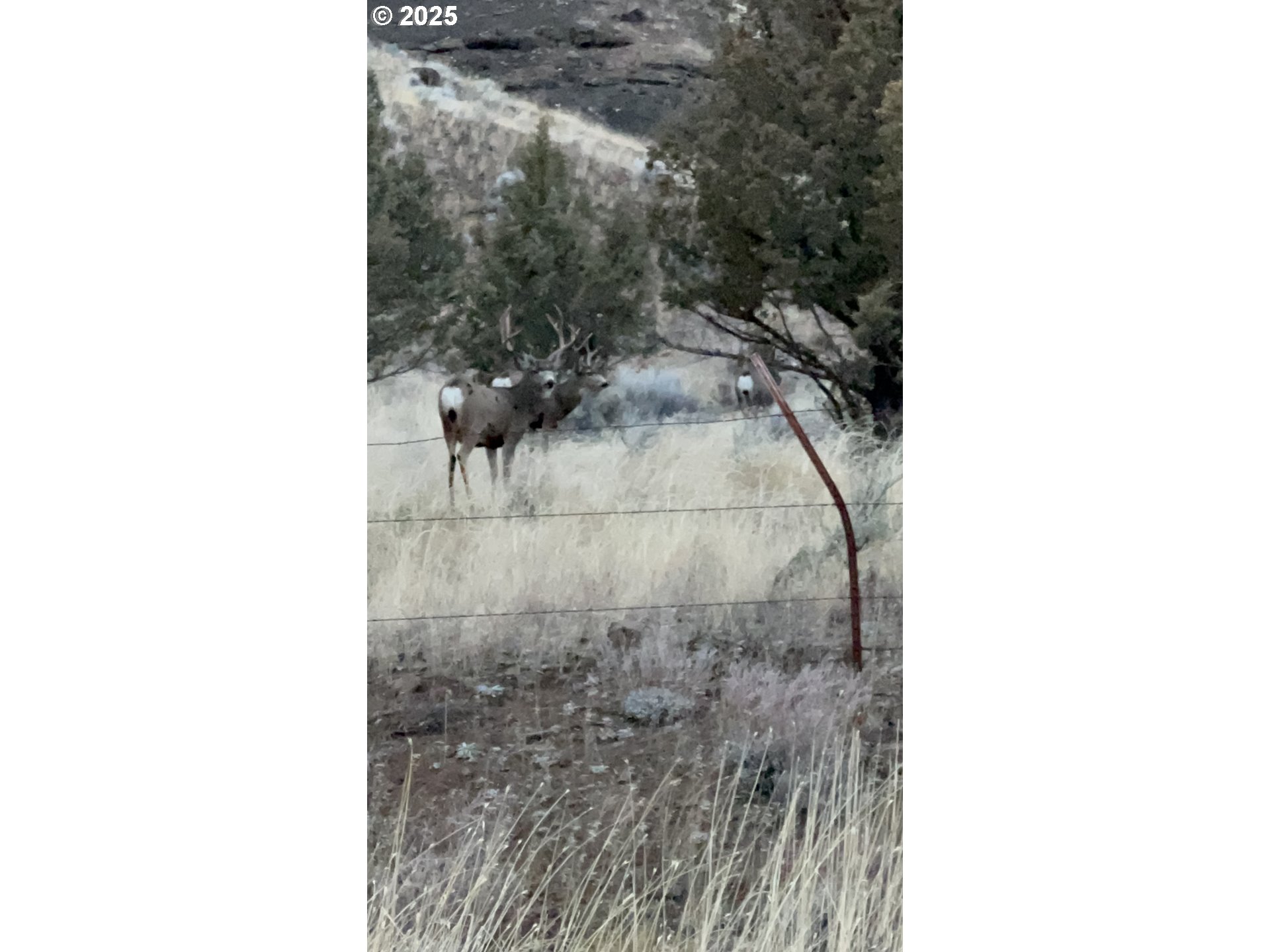 43697 HWY 402, Kimberly, OR, 97848