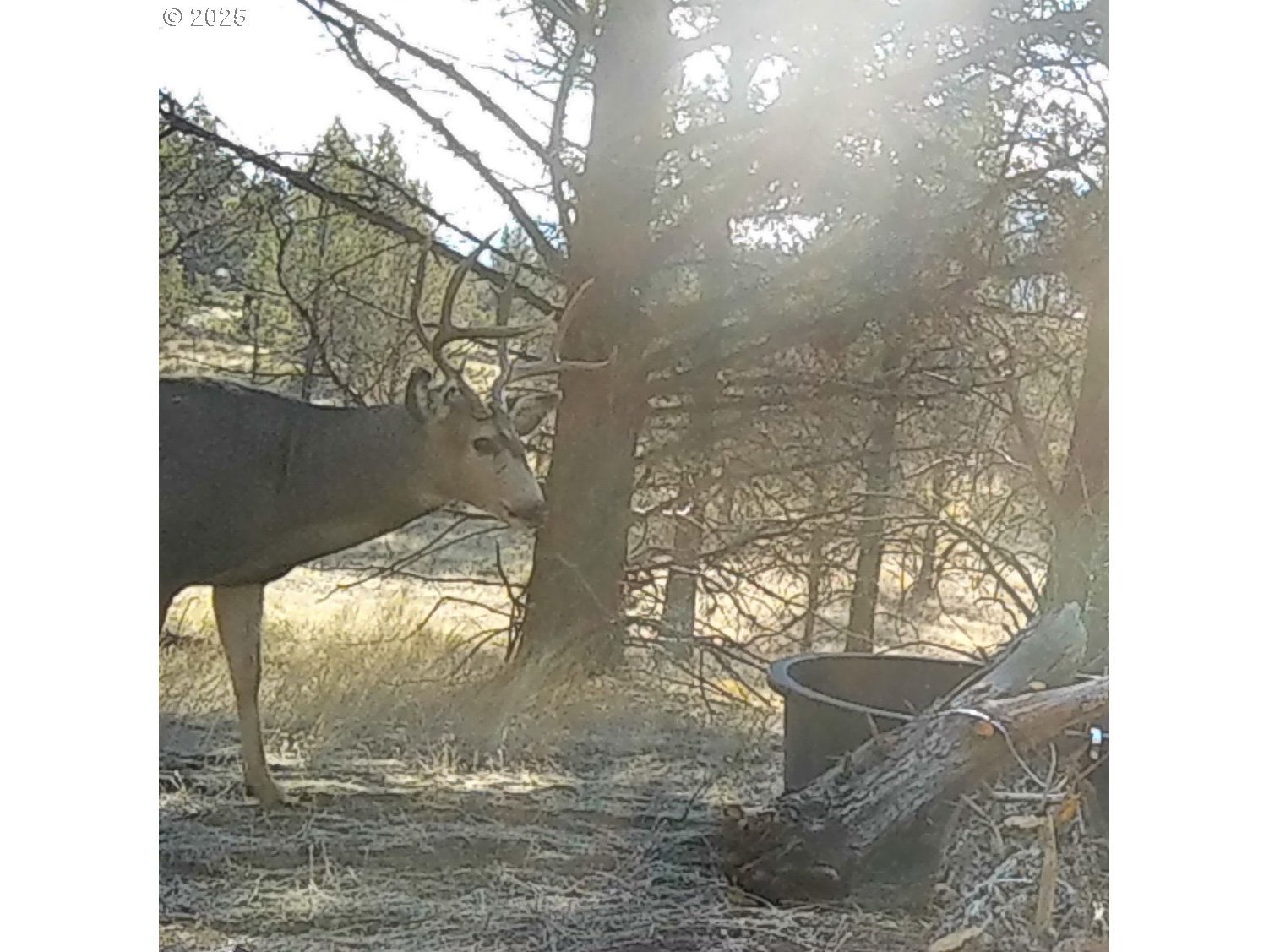 43697 HWY 402, Kimberly, OR, 97848