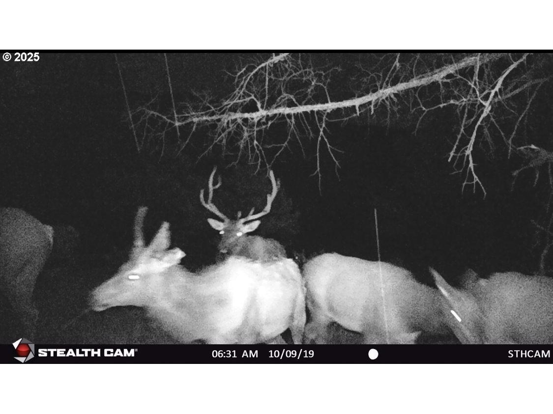 43697 HWY 402, Kimberly, OR, 97848