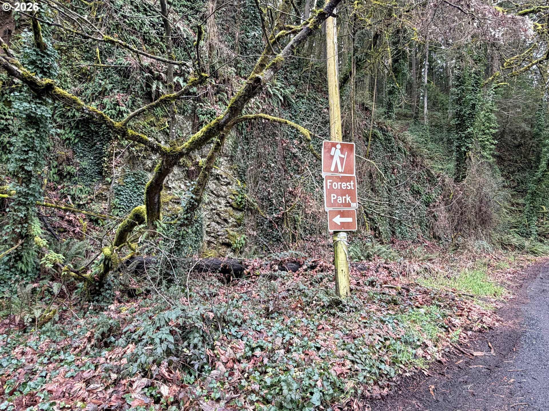 2575 NW LOVEJOY ST, Portland, OR, 97210